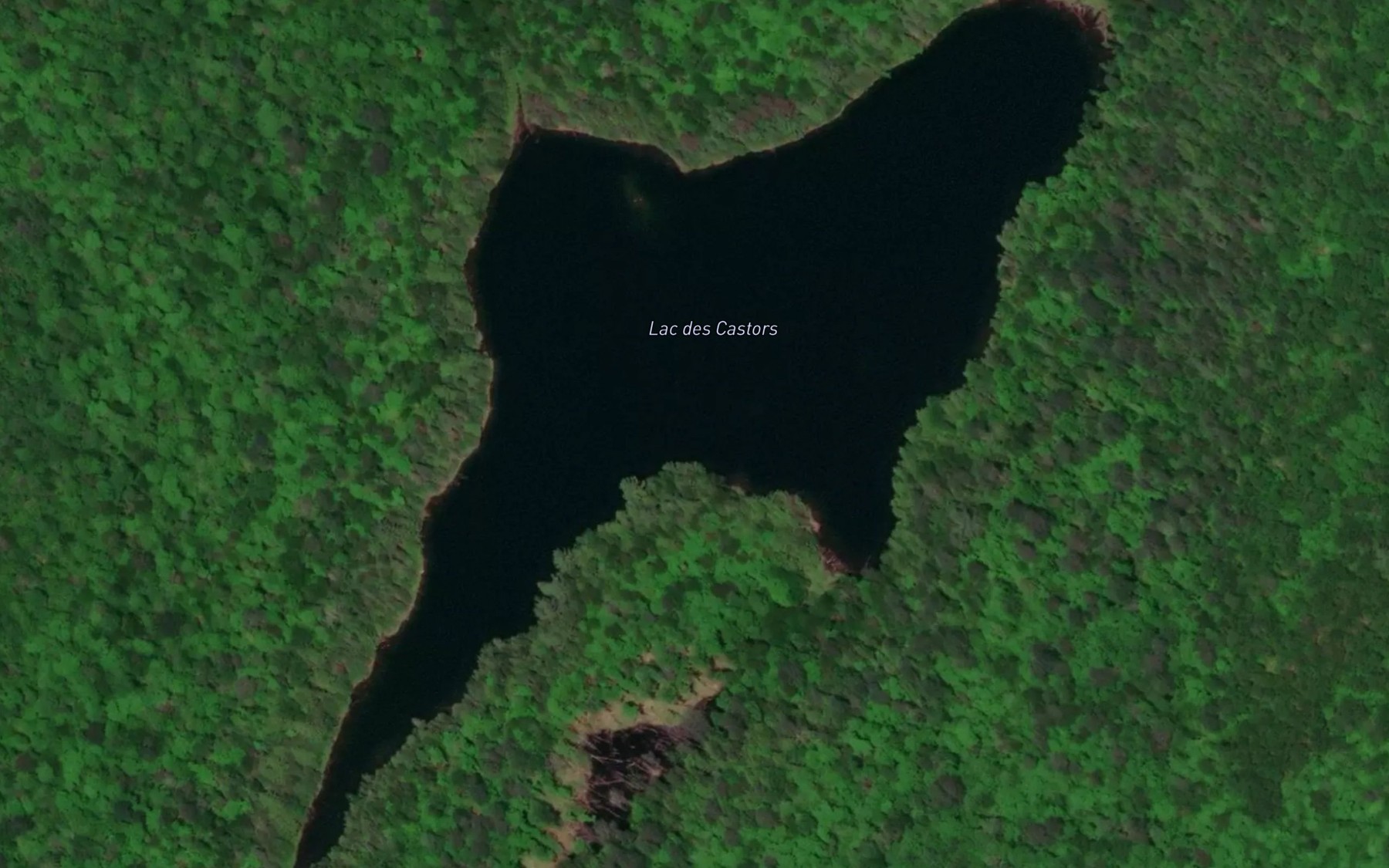 Satellite map of the Lac des Castors