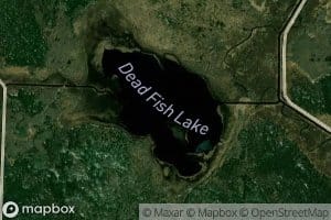 Dead Fish Lake