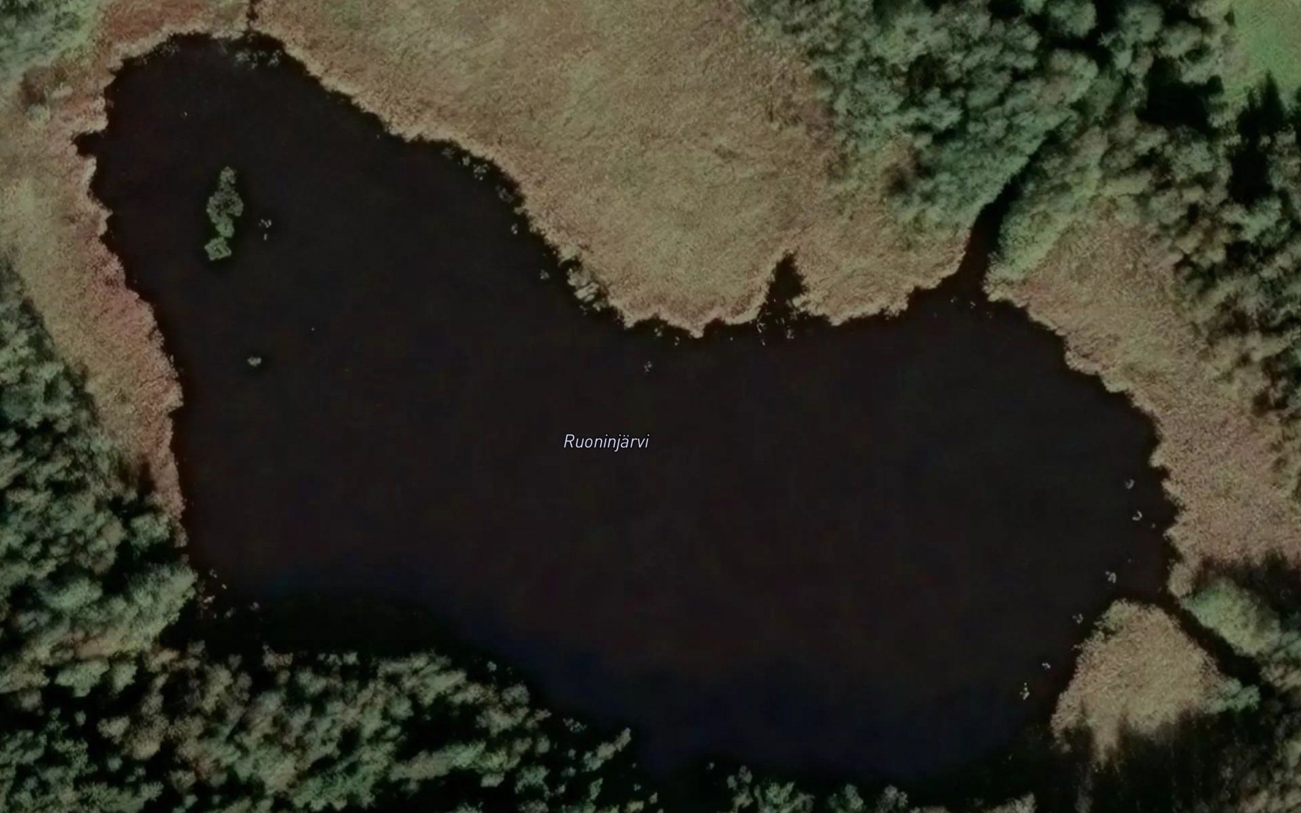 Ruoninjarvi