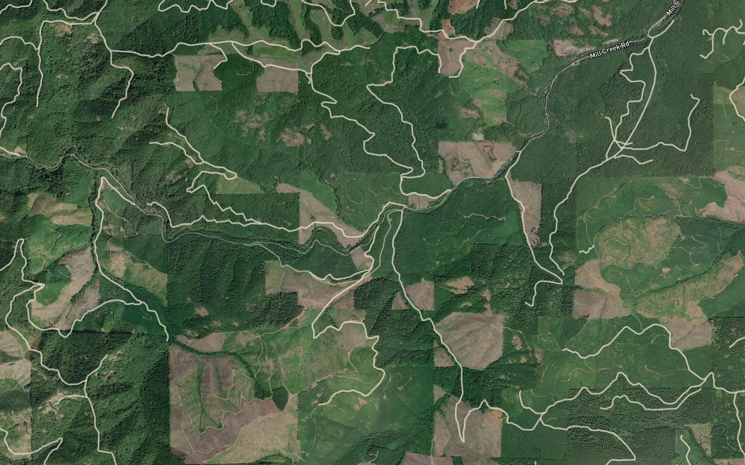 Bear Creek