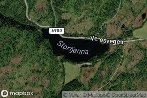 Stortjonna