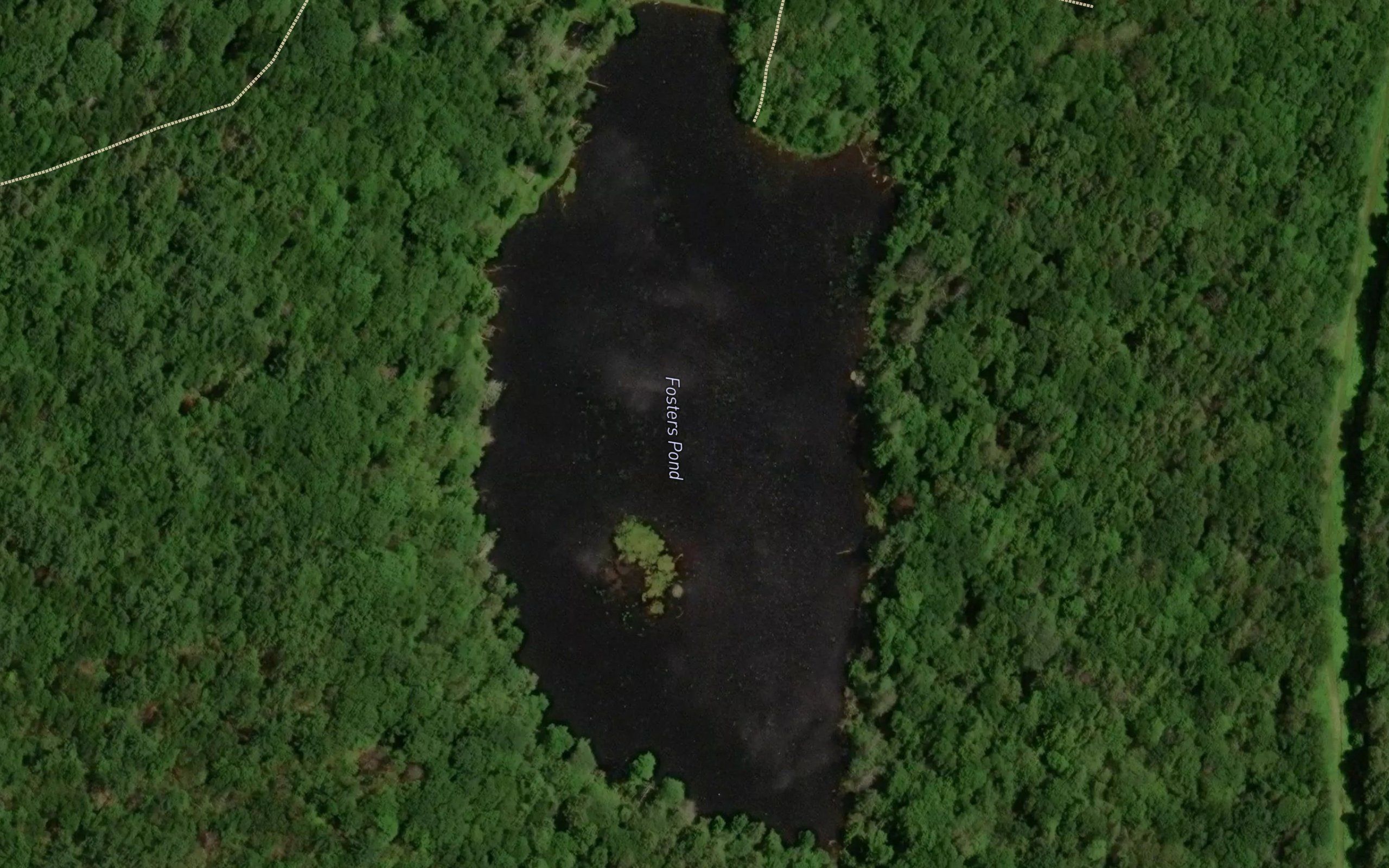 Fosters Pond