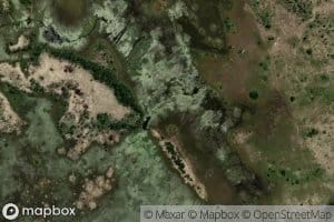 Delta de l'Okavango