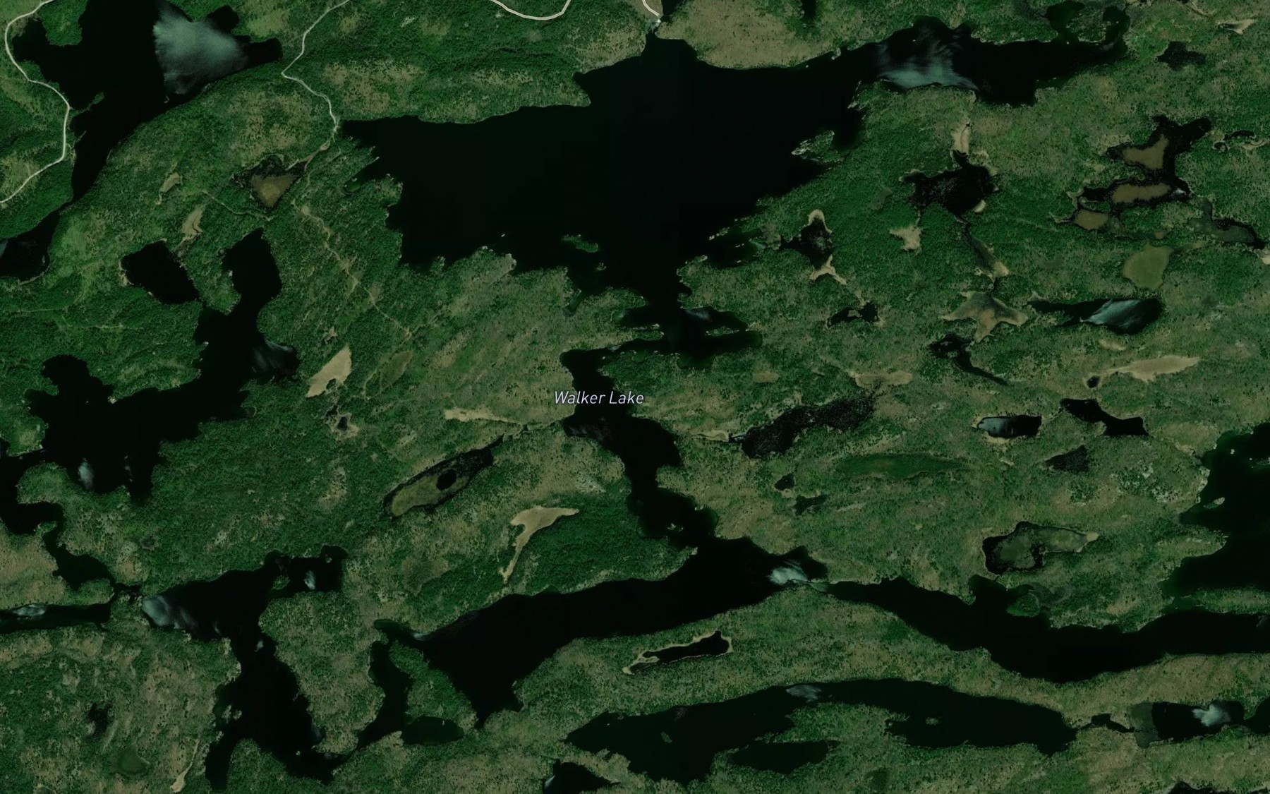 Satellite map of the Walker Lake