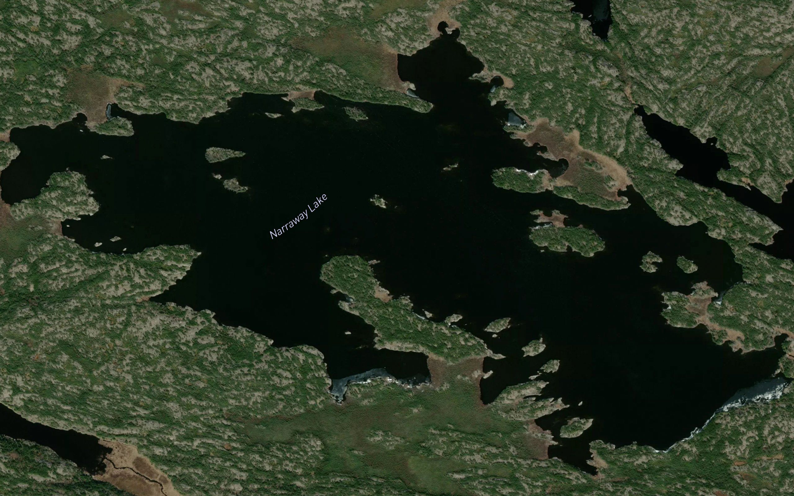 Narraway Lake
