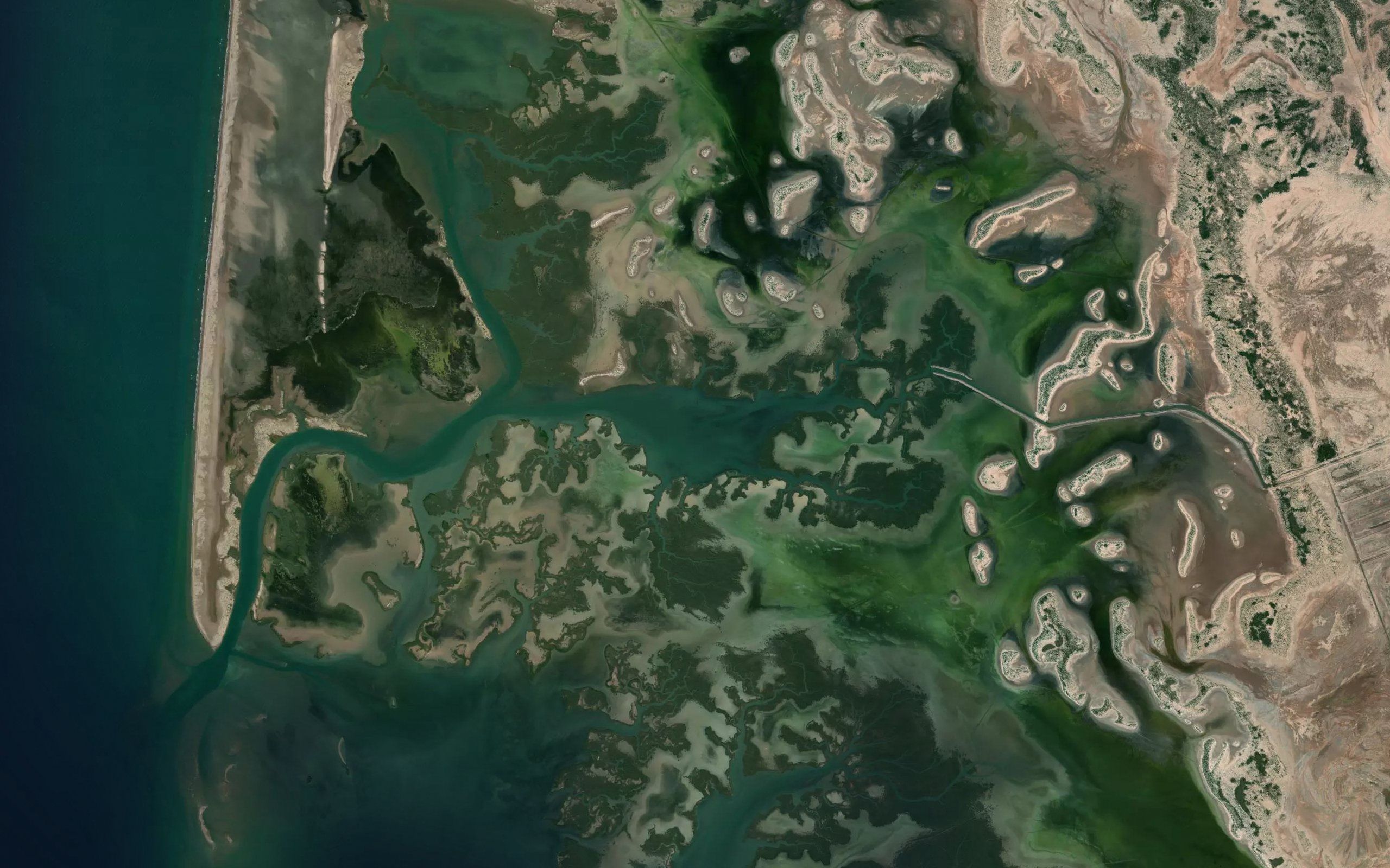 Estero la Pitahayita
