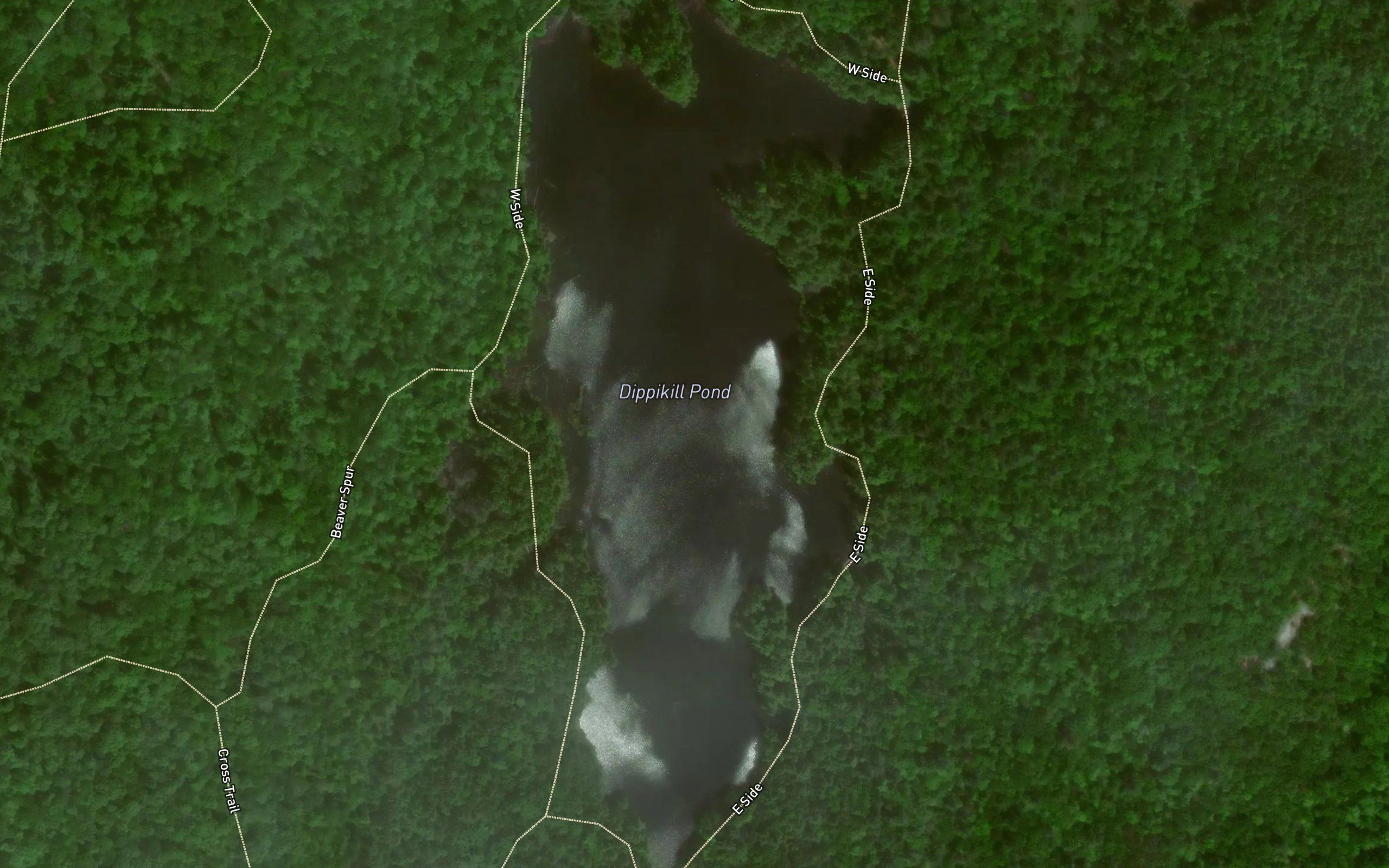Dippikill Pond