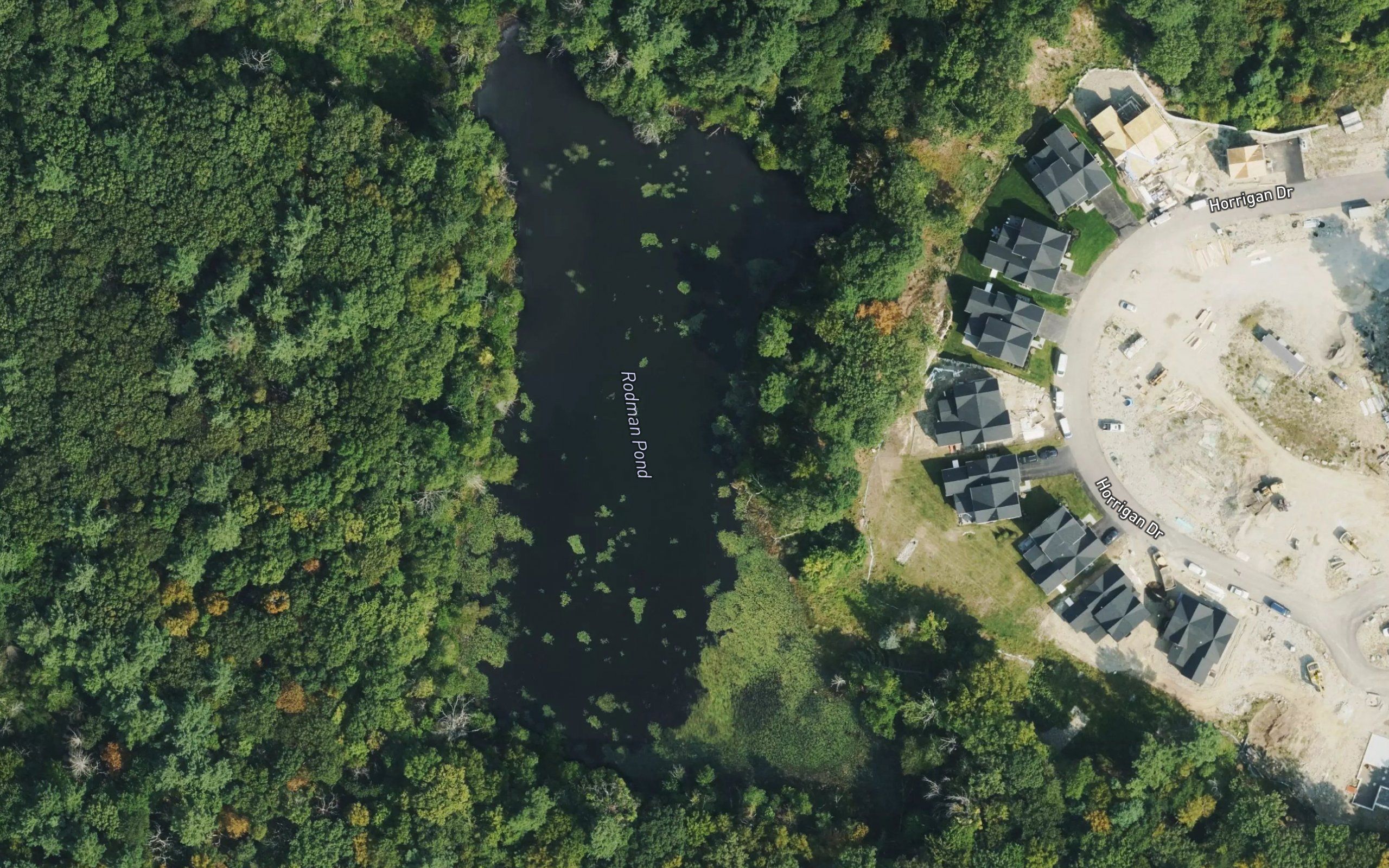 Rodman Pond