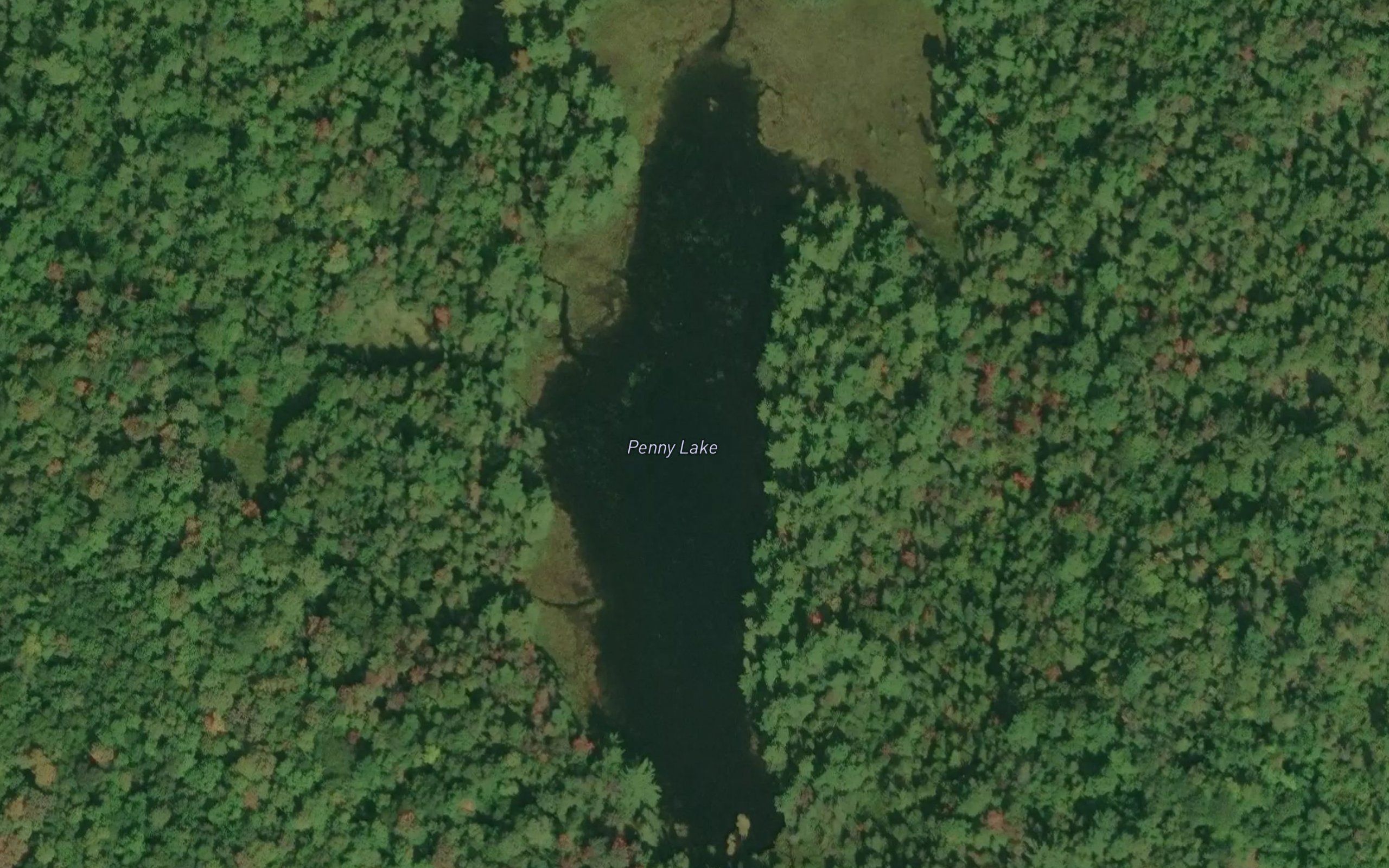 Penny Lake