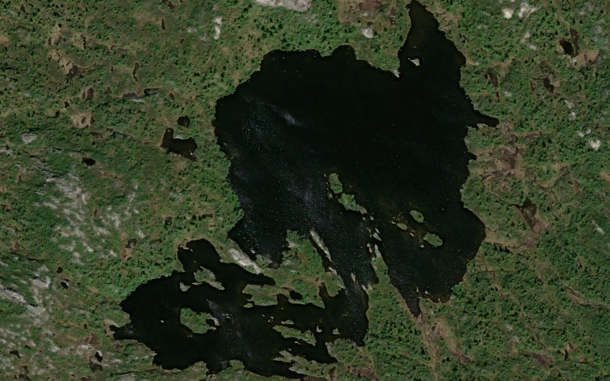 Skjentjonnane