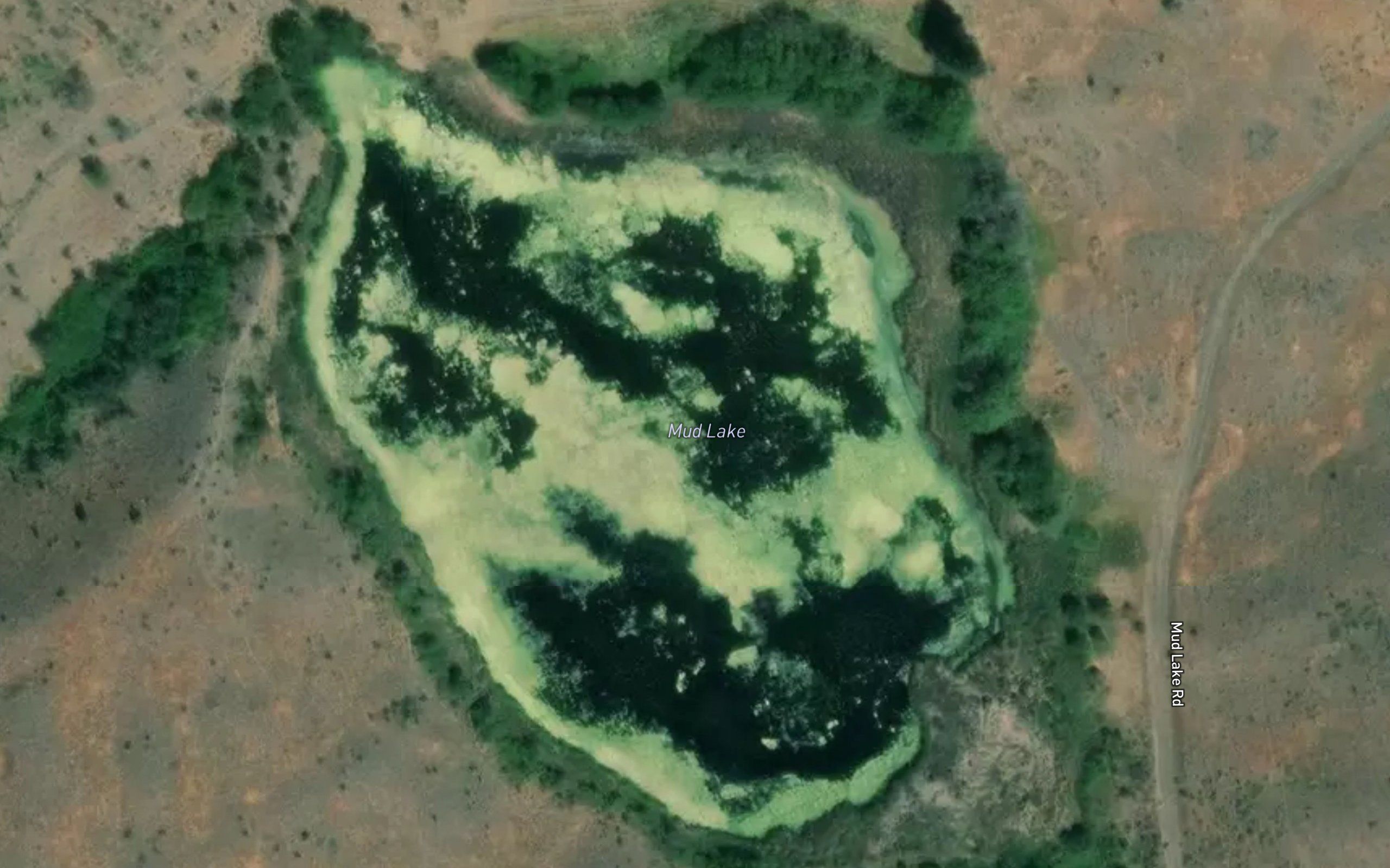 Mud Lake