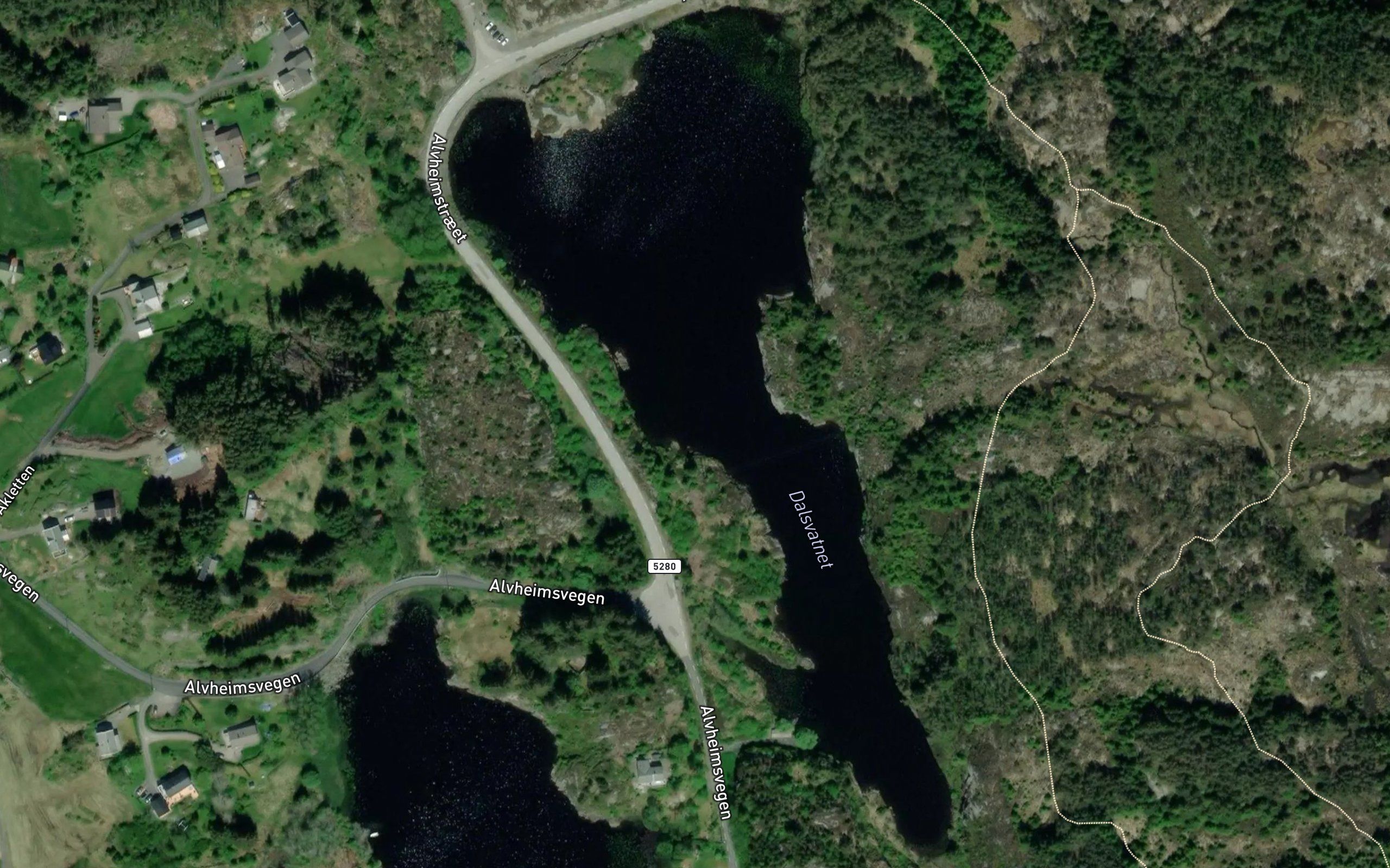 Dalsvatnet
