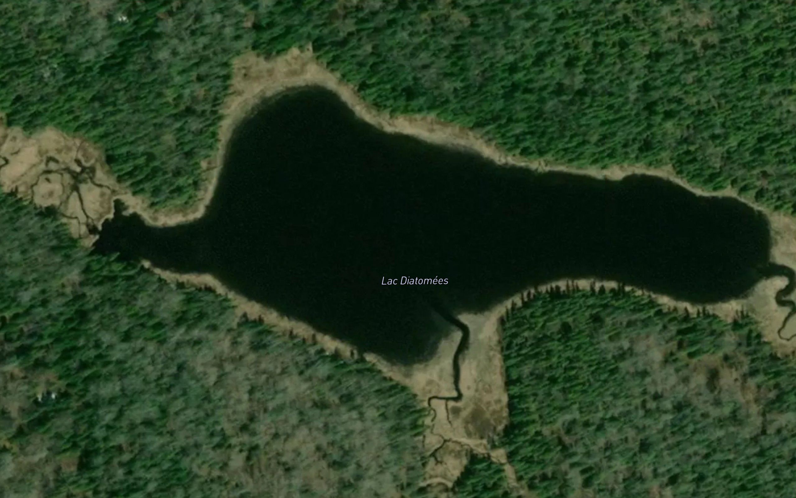 Lac Diatomees