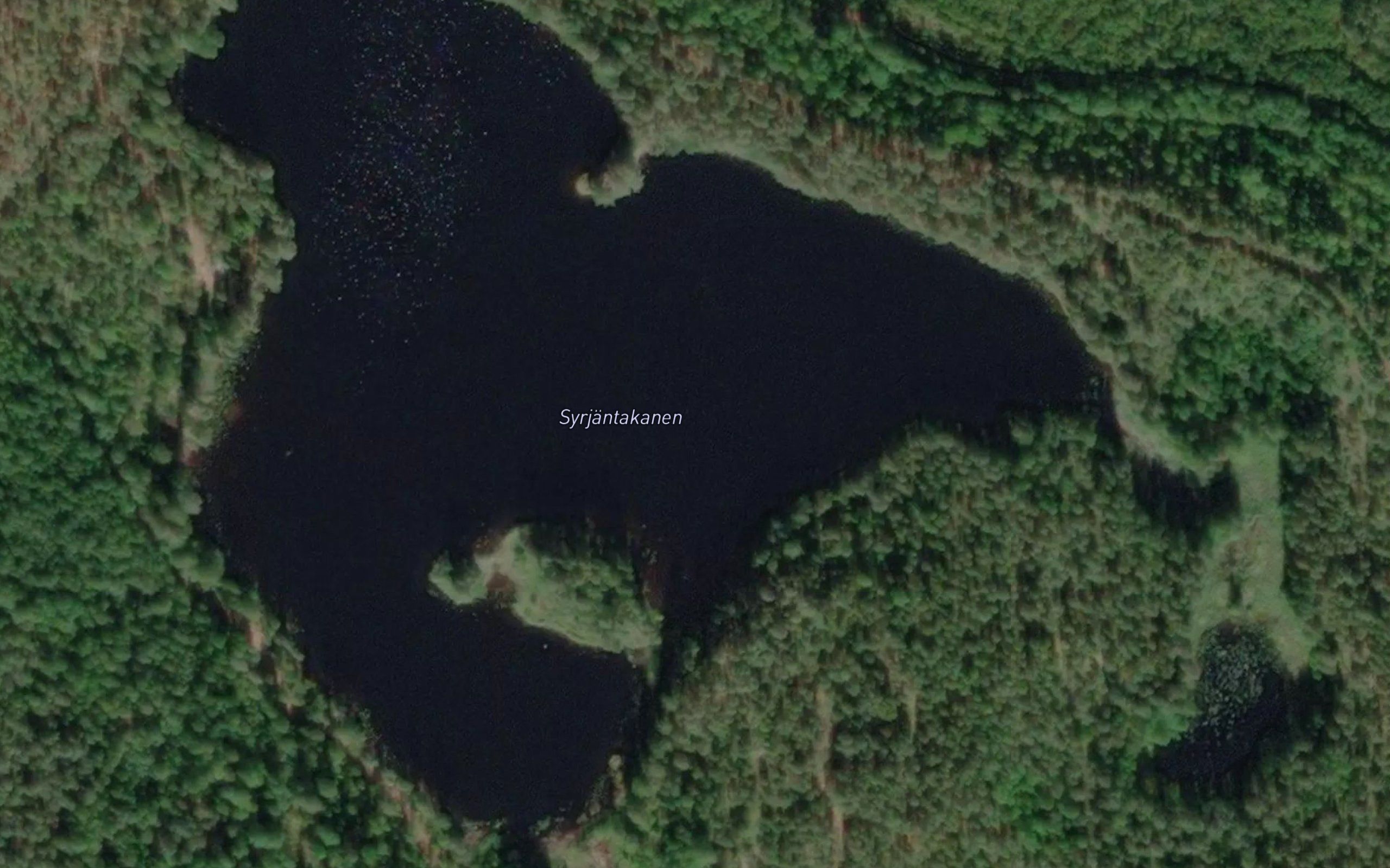 Syrjantakanen