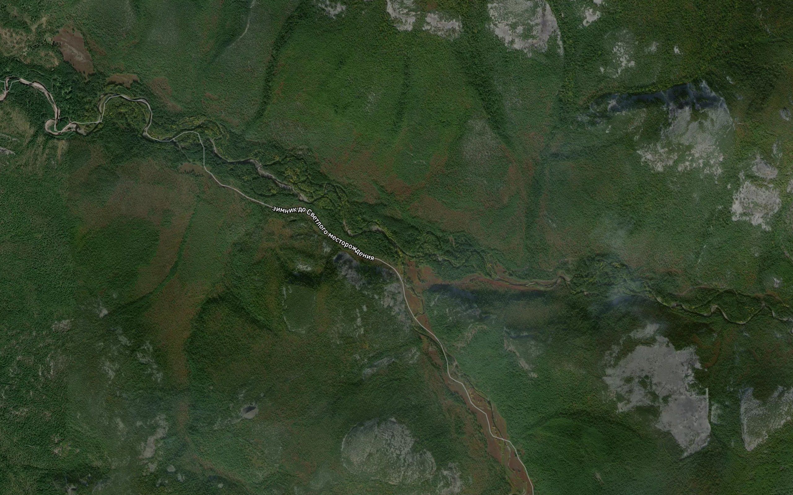 Kustarnikovyy