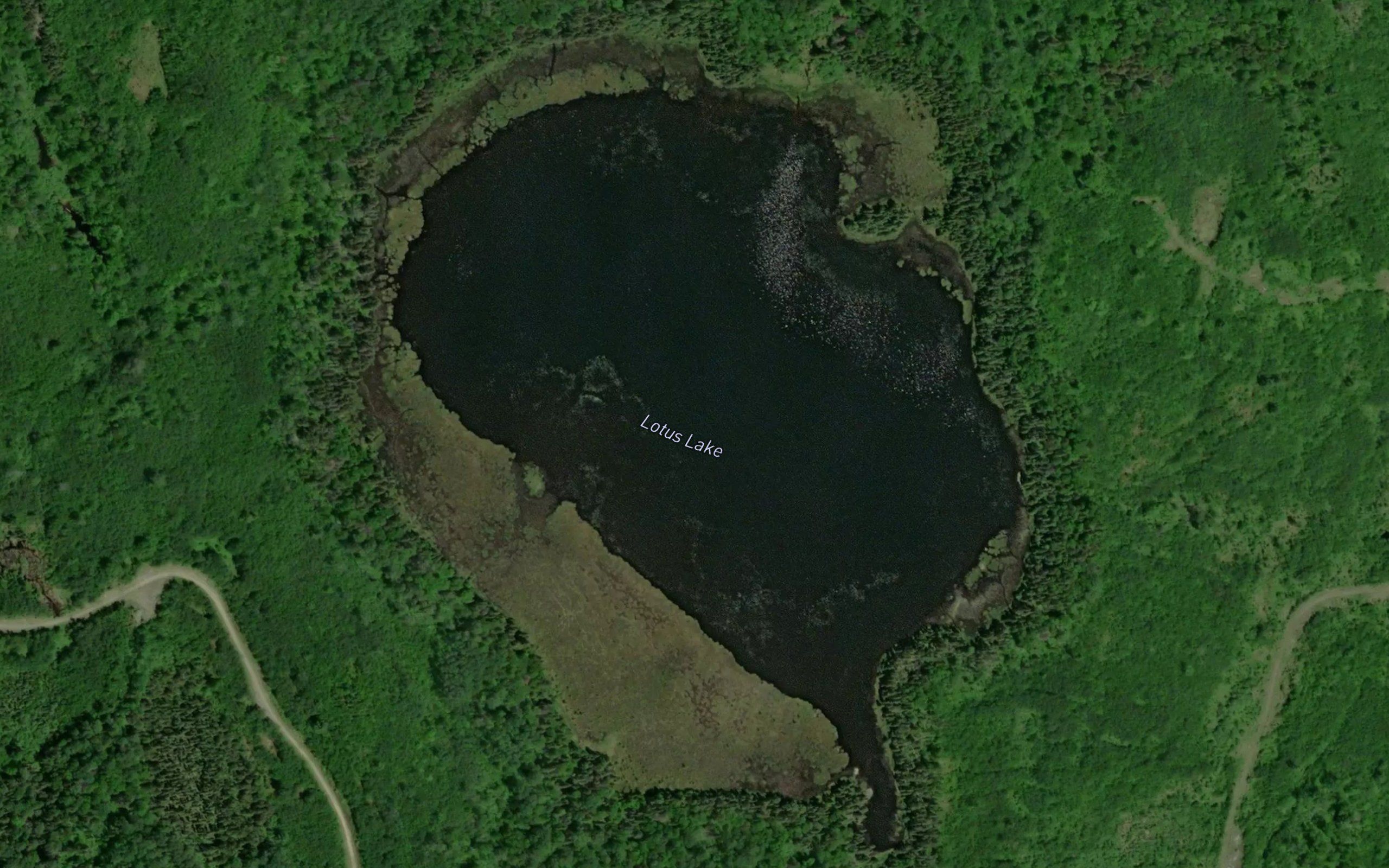 Lotus Lake