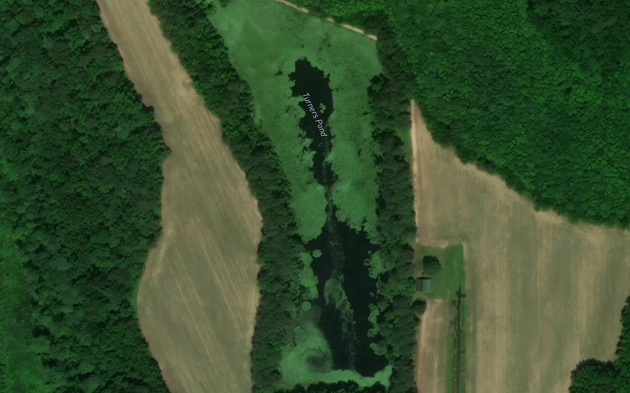 Turners Pond