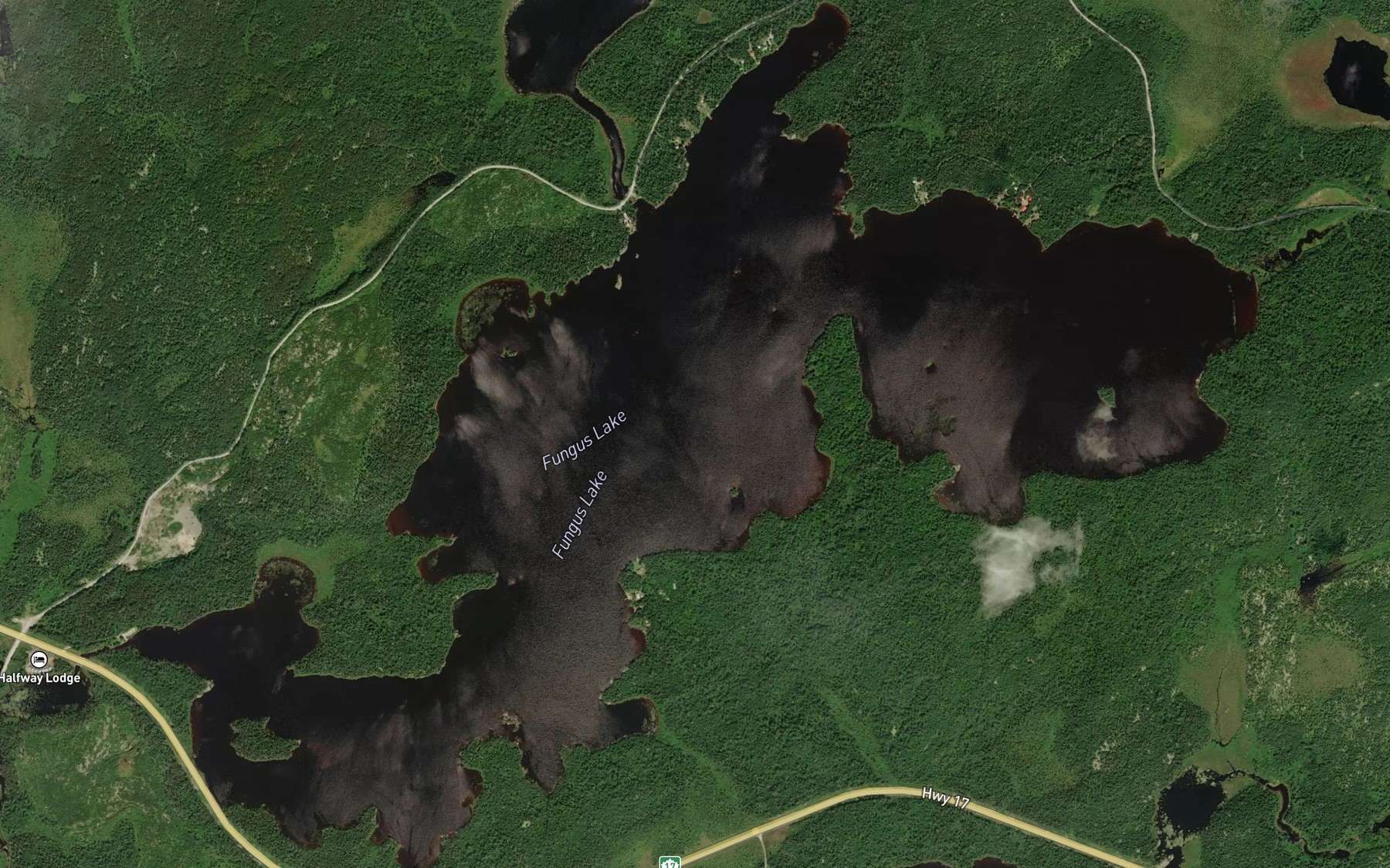 Satellite map of the Fungus Lake
