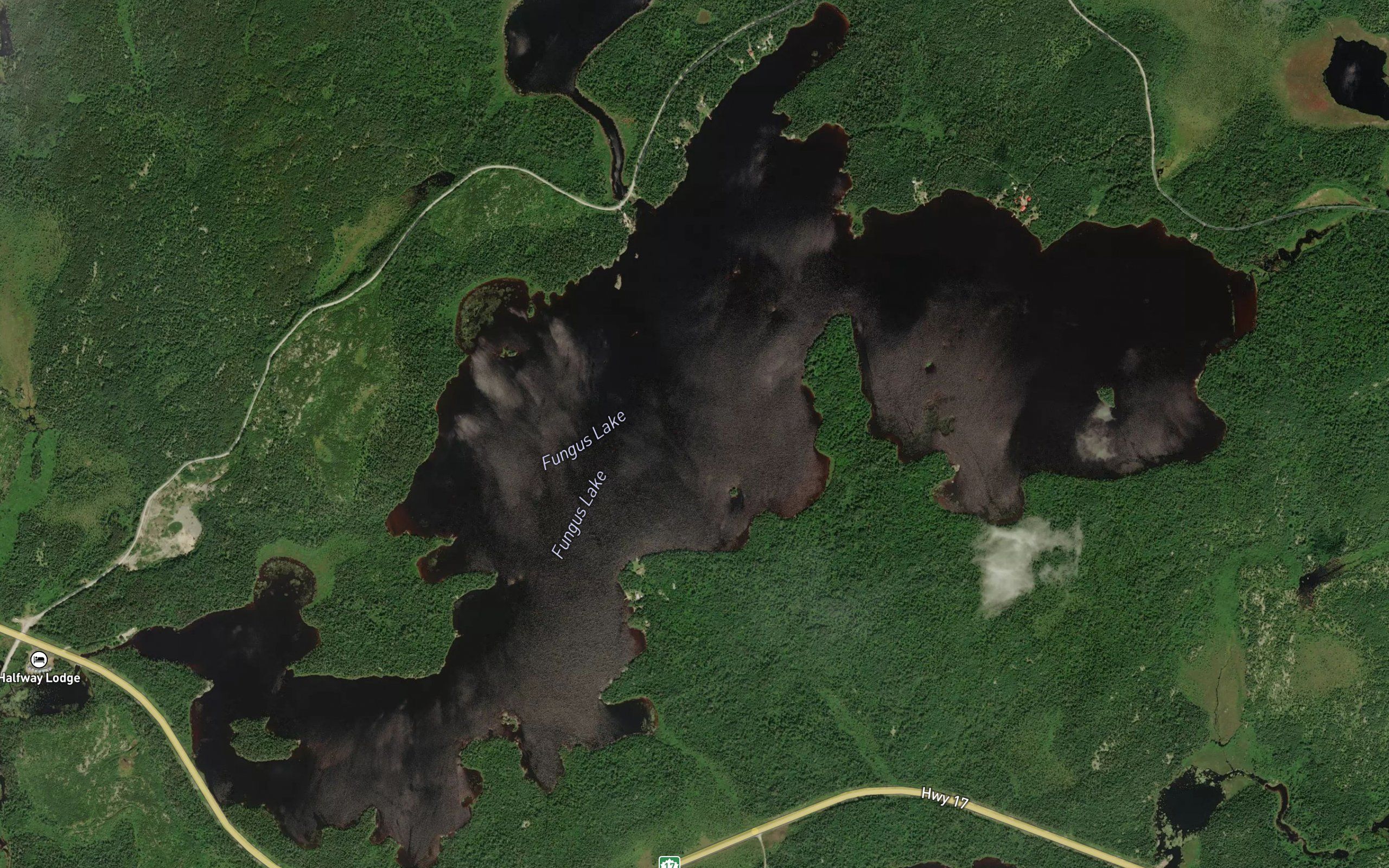 Fungus Lake