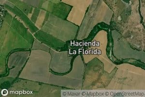 Estero del Nacascolo