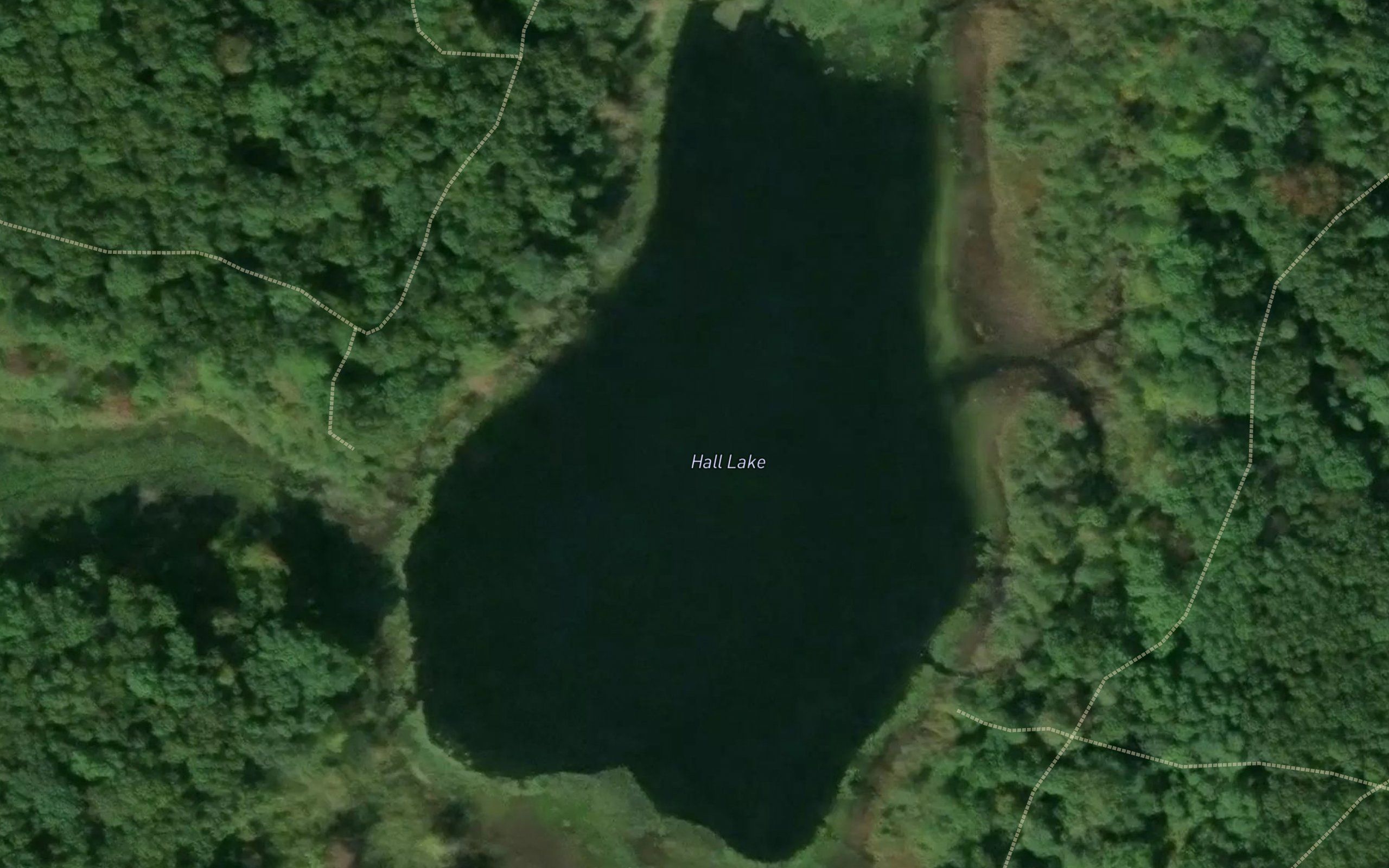 Hall Lake