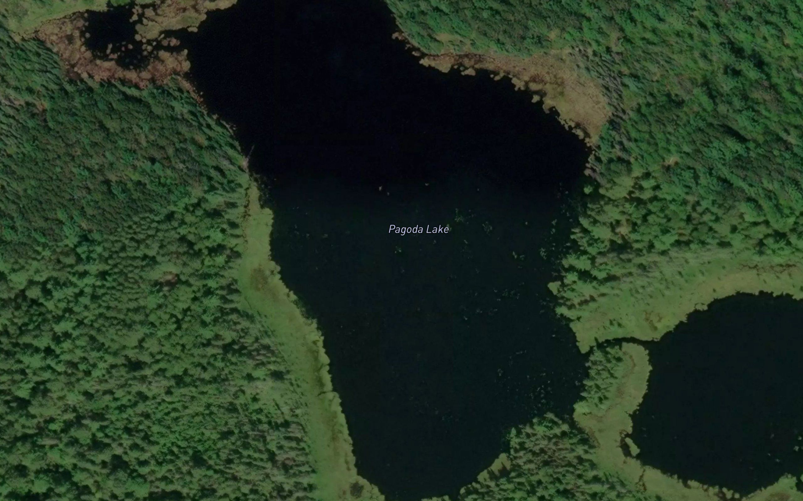 Pagoda Lake