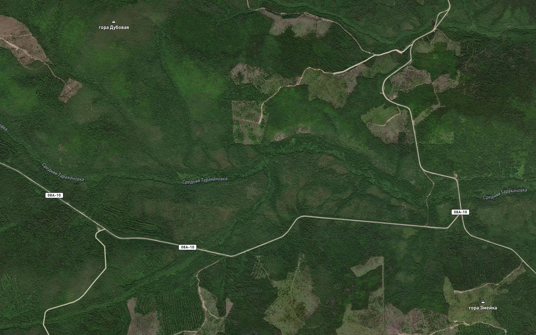 Satellite map of the Bolotnyy