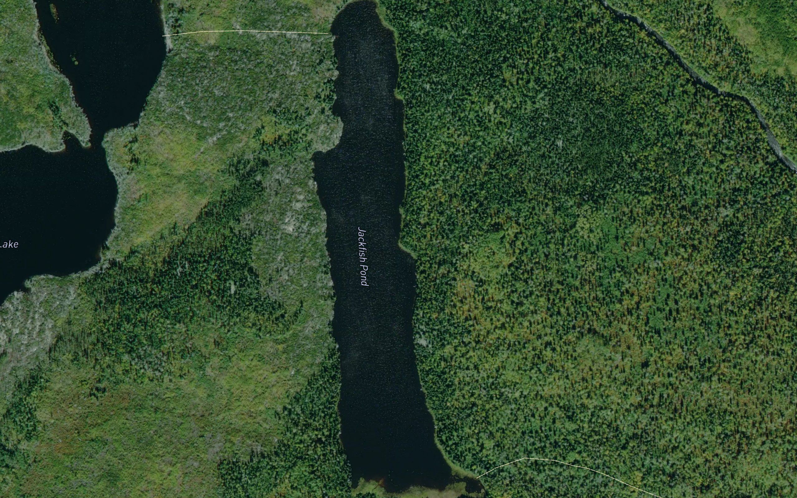 Jackfish Pond