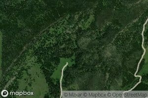 Spruce Springs