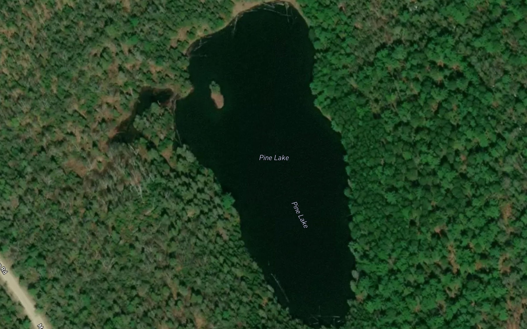 Satellite map of the Pine Lake