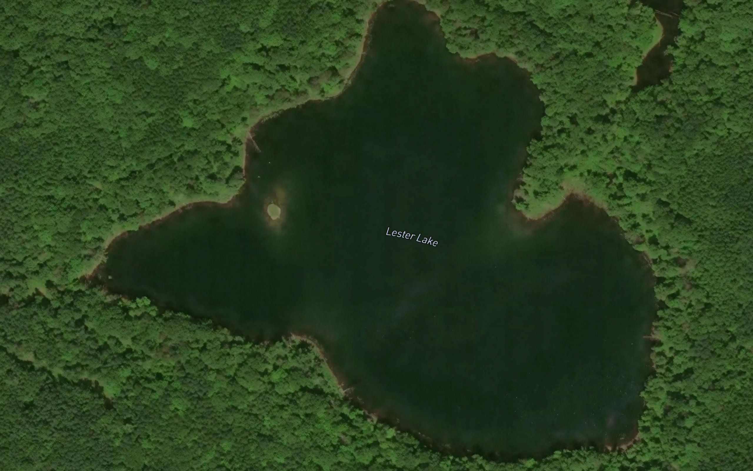 Lester Lake