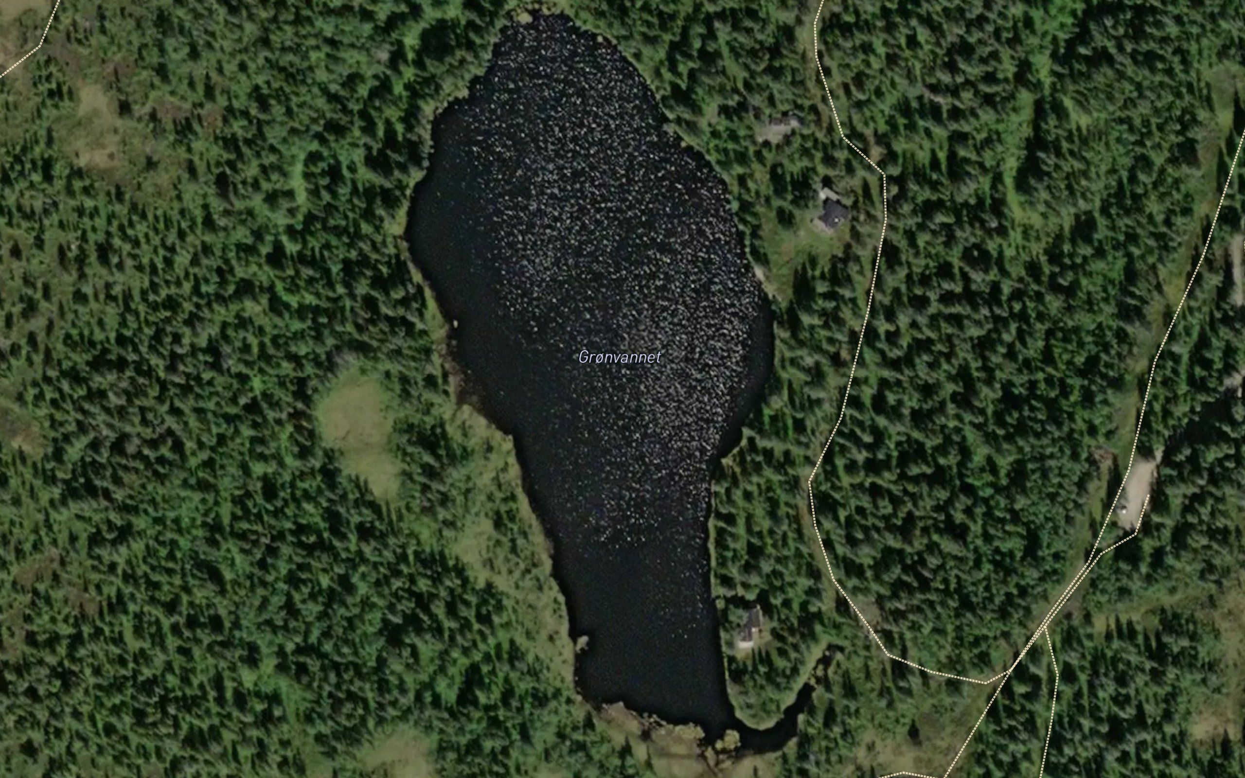 Gronvannet