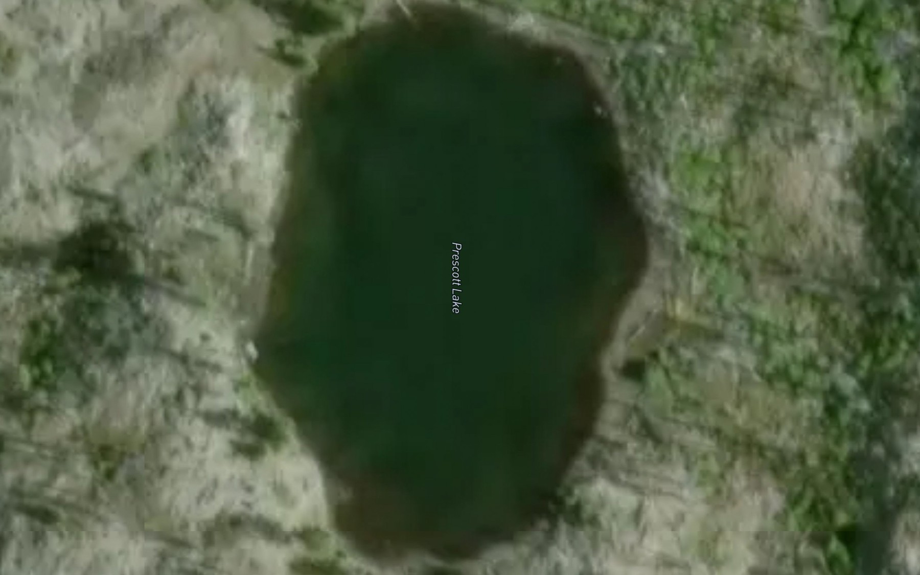 Satellite map of the Prescott Lake