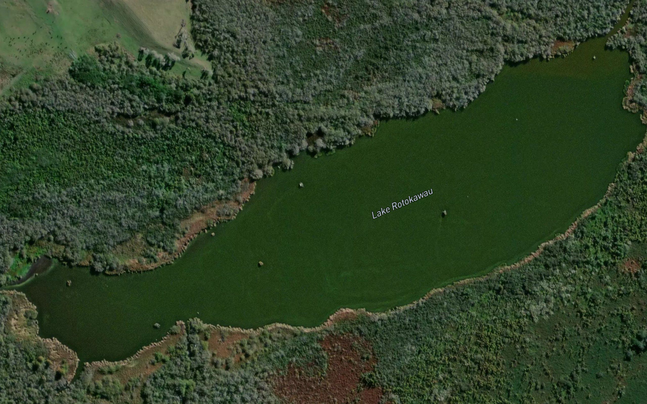 Lake Rotokawau