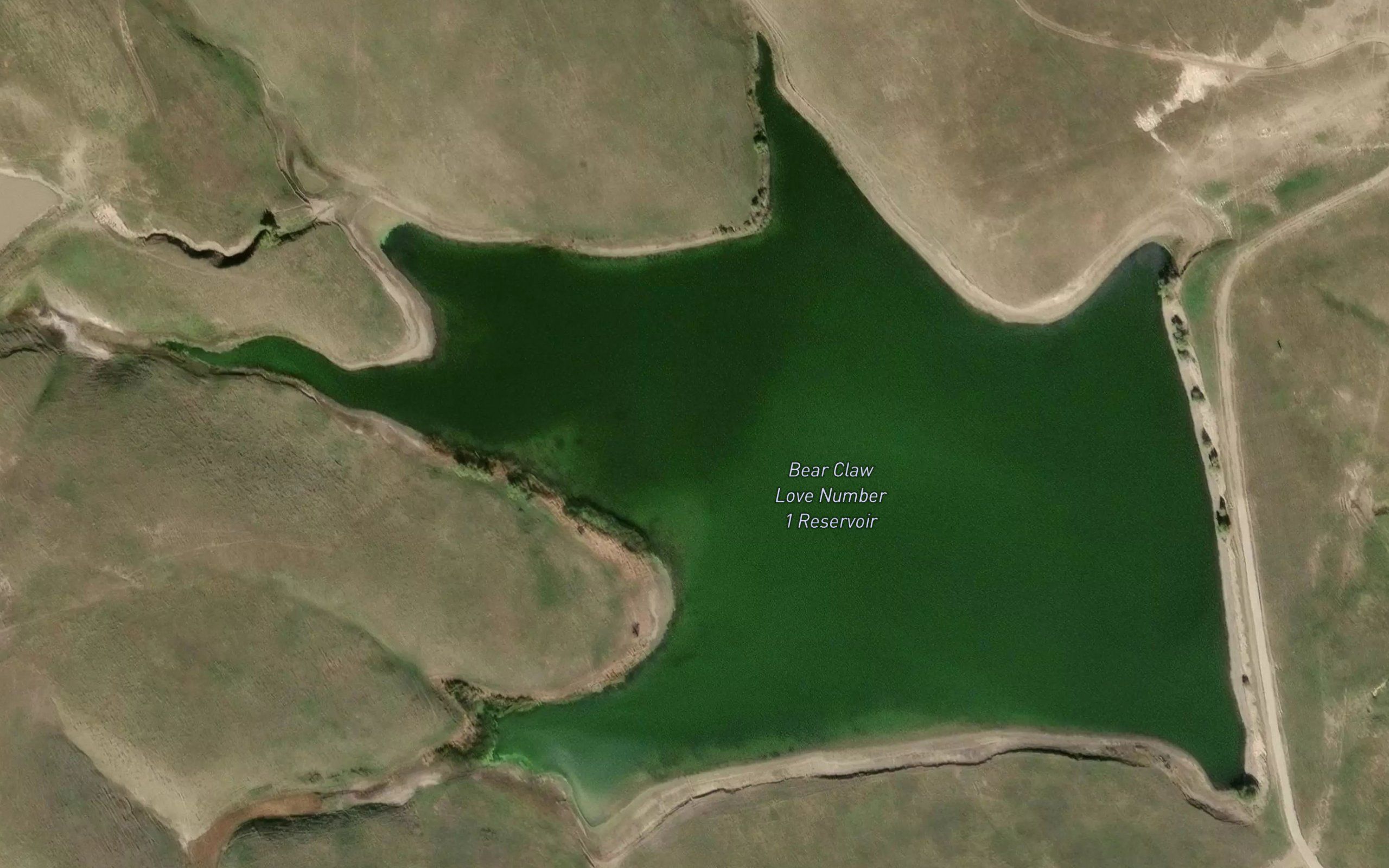 Bear Claw Love Number 1 Reservoir