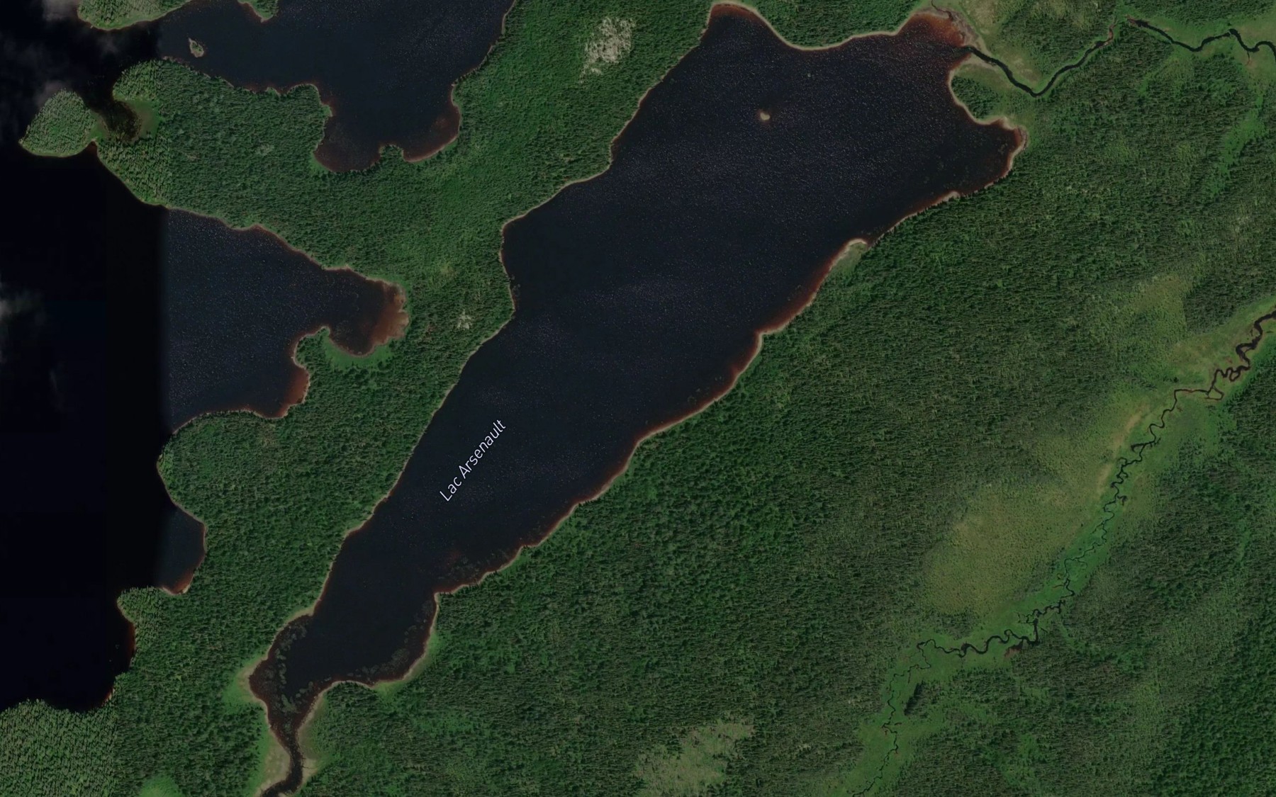 Satellite map of the Lac Arsenault