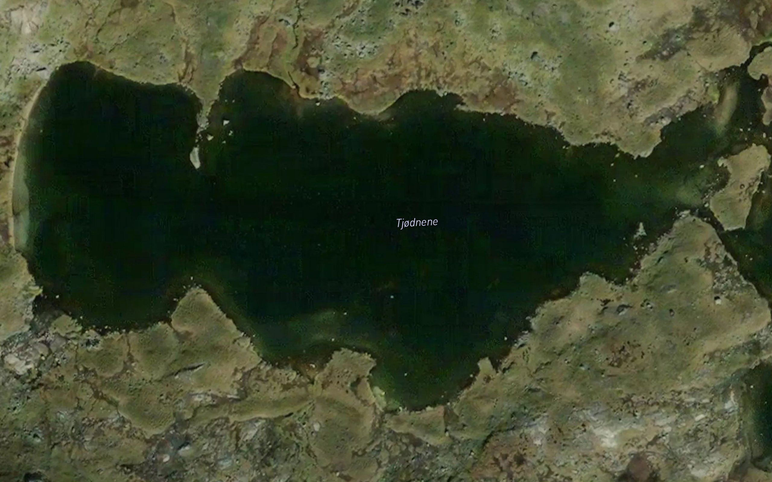 Tjodnene
