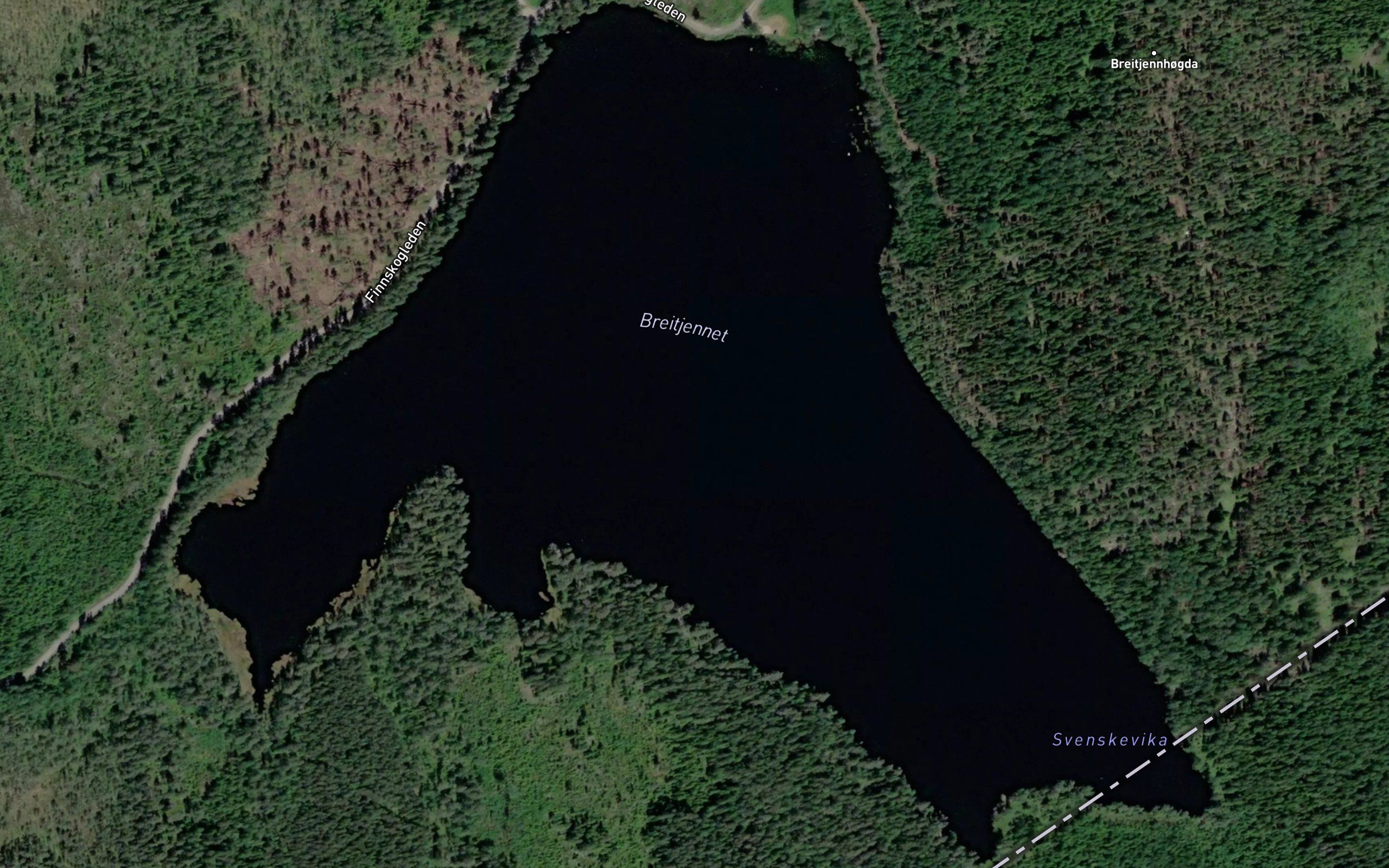 Breidtjern