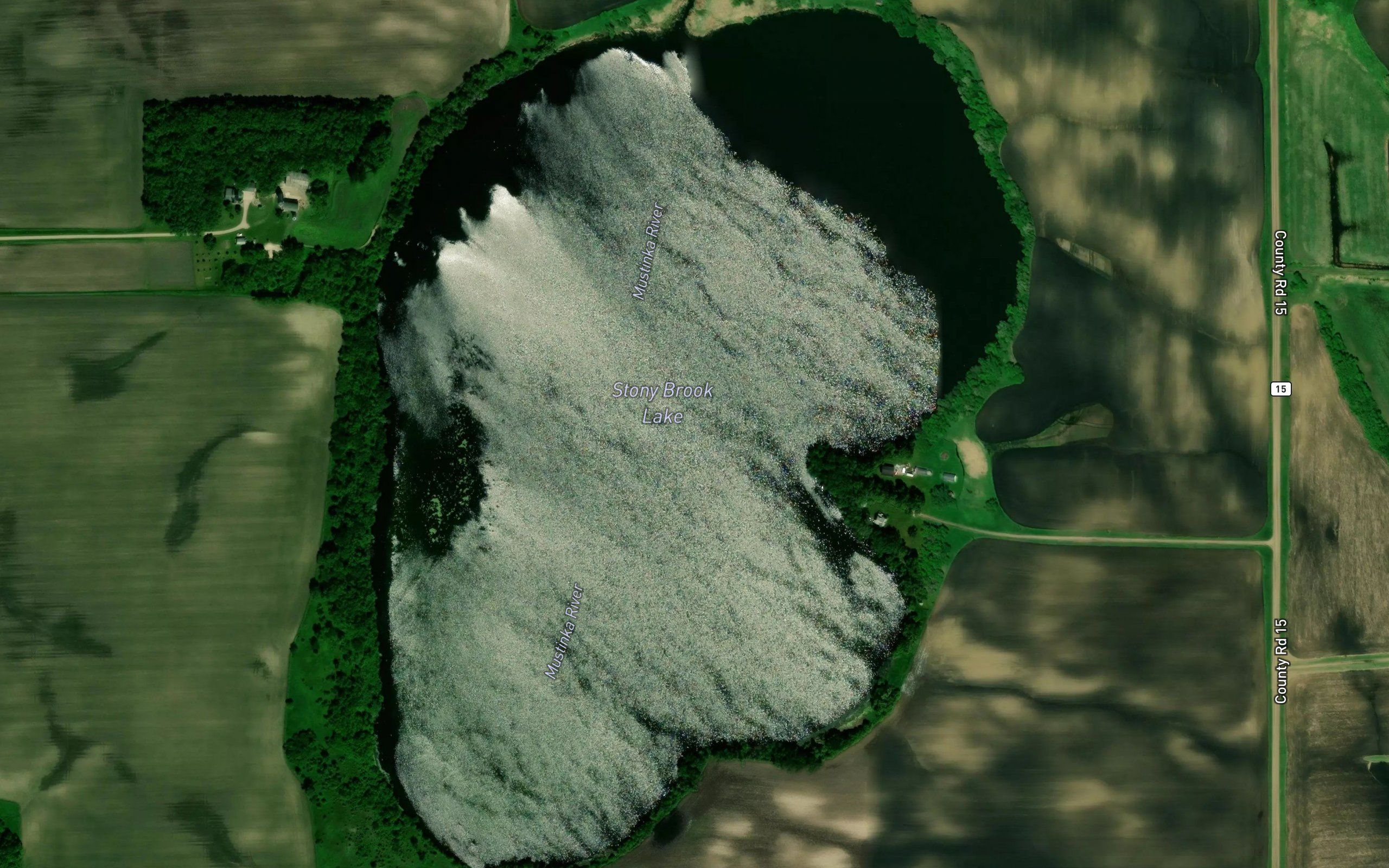 Stony Brook Lake