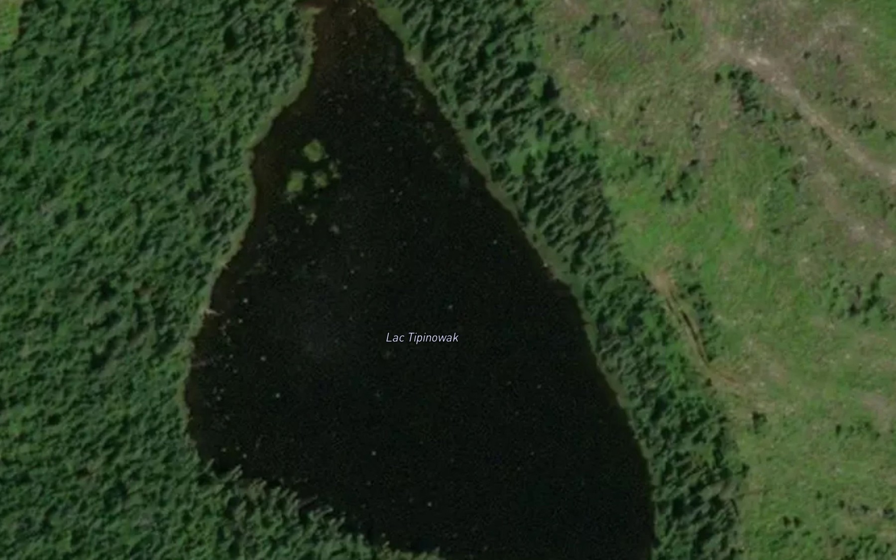 Satellite map of the Lac Tipinowak