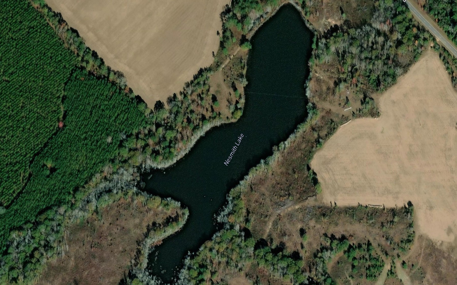 Satellite map of the Nesmith Lake