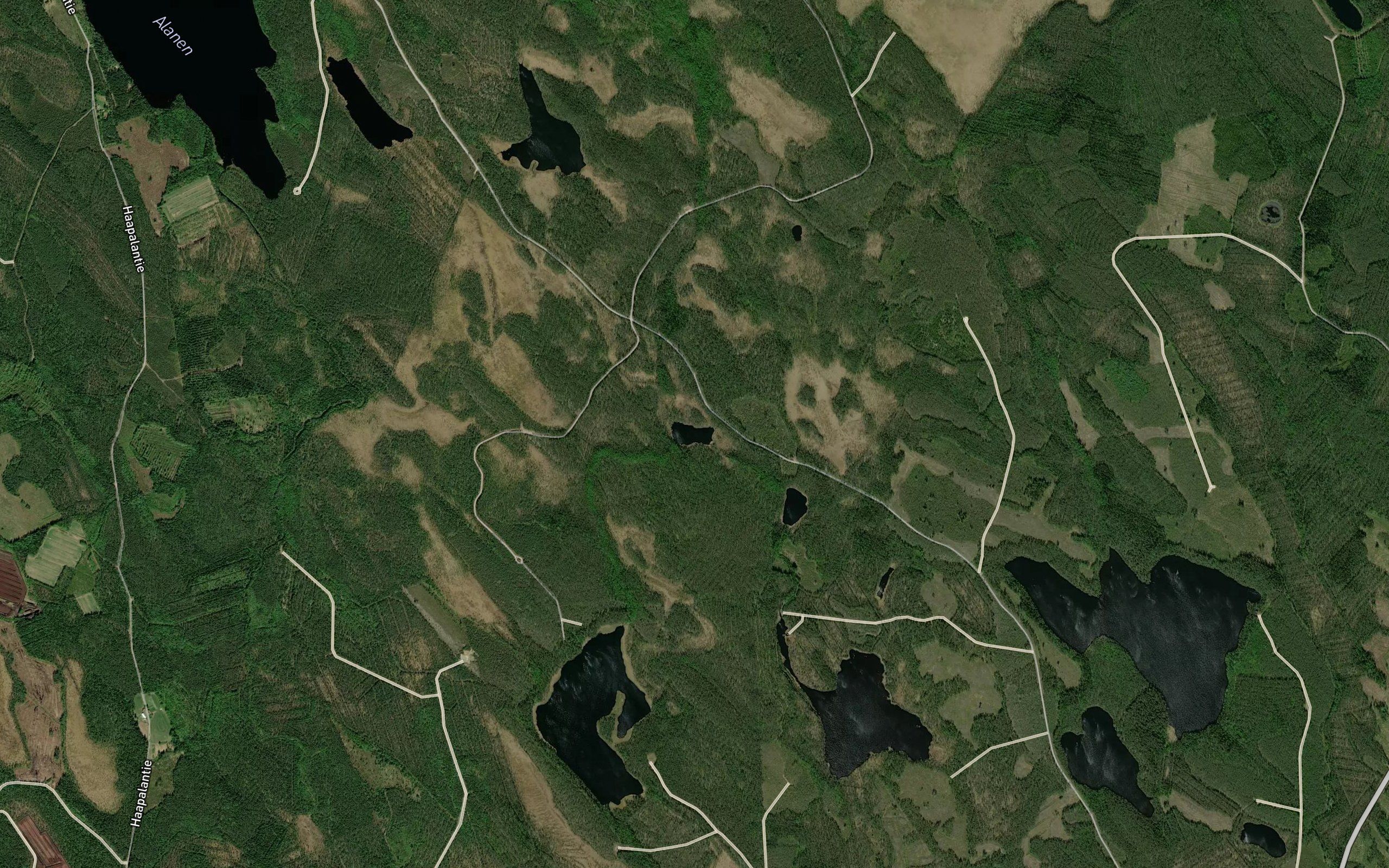 Kauhalampi