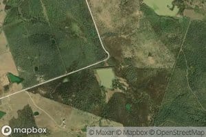 Site Number Twentyone