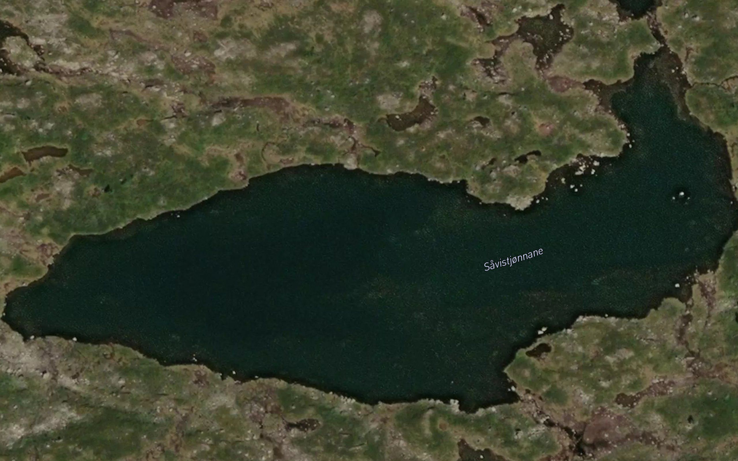 Savistjornane