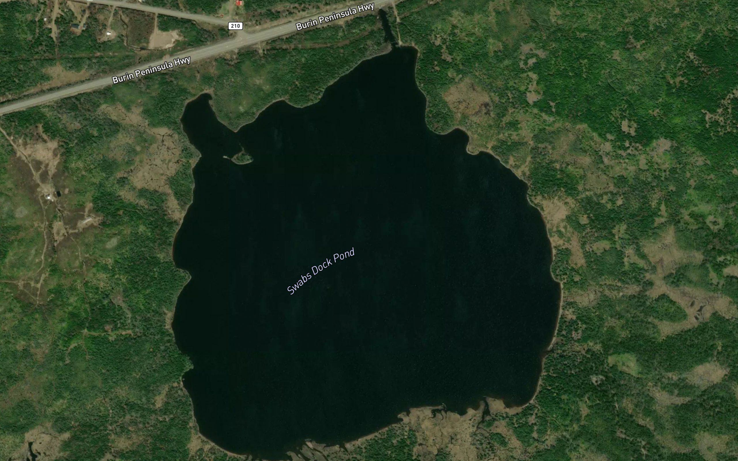 Swabs Dock Pond