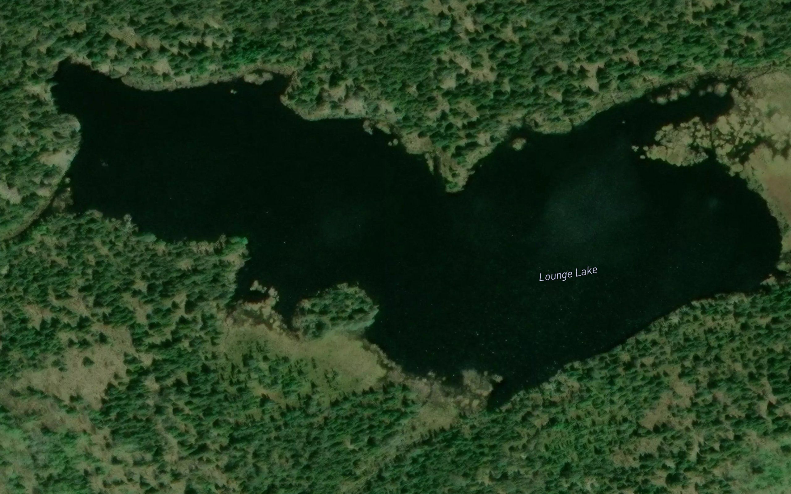 Lounge Lake