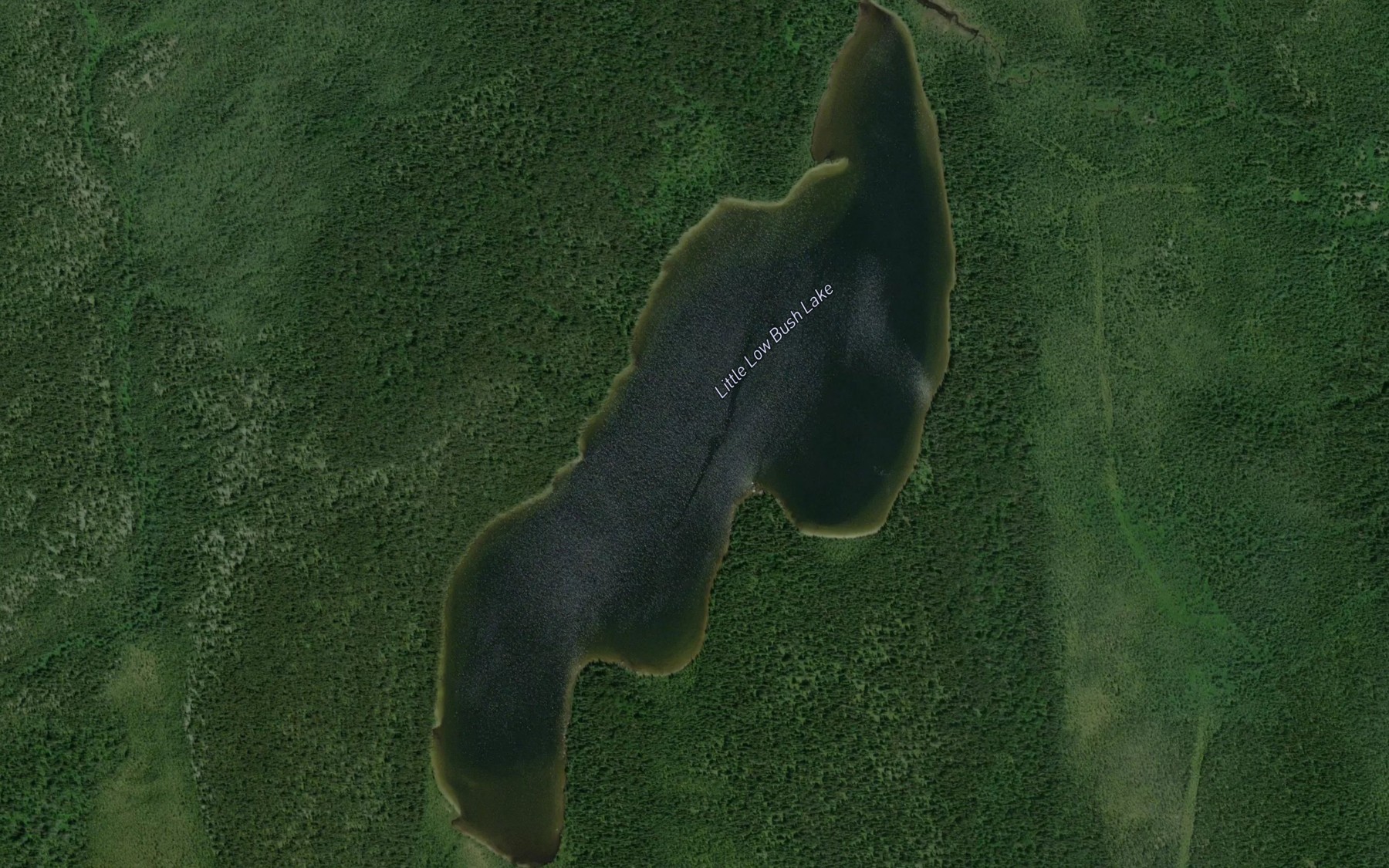 Satellite map of the Little Low Bush Lake