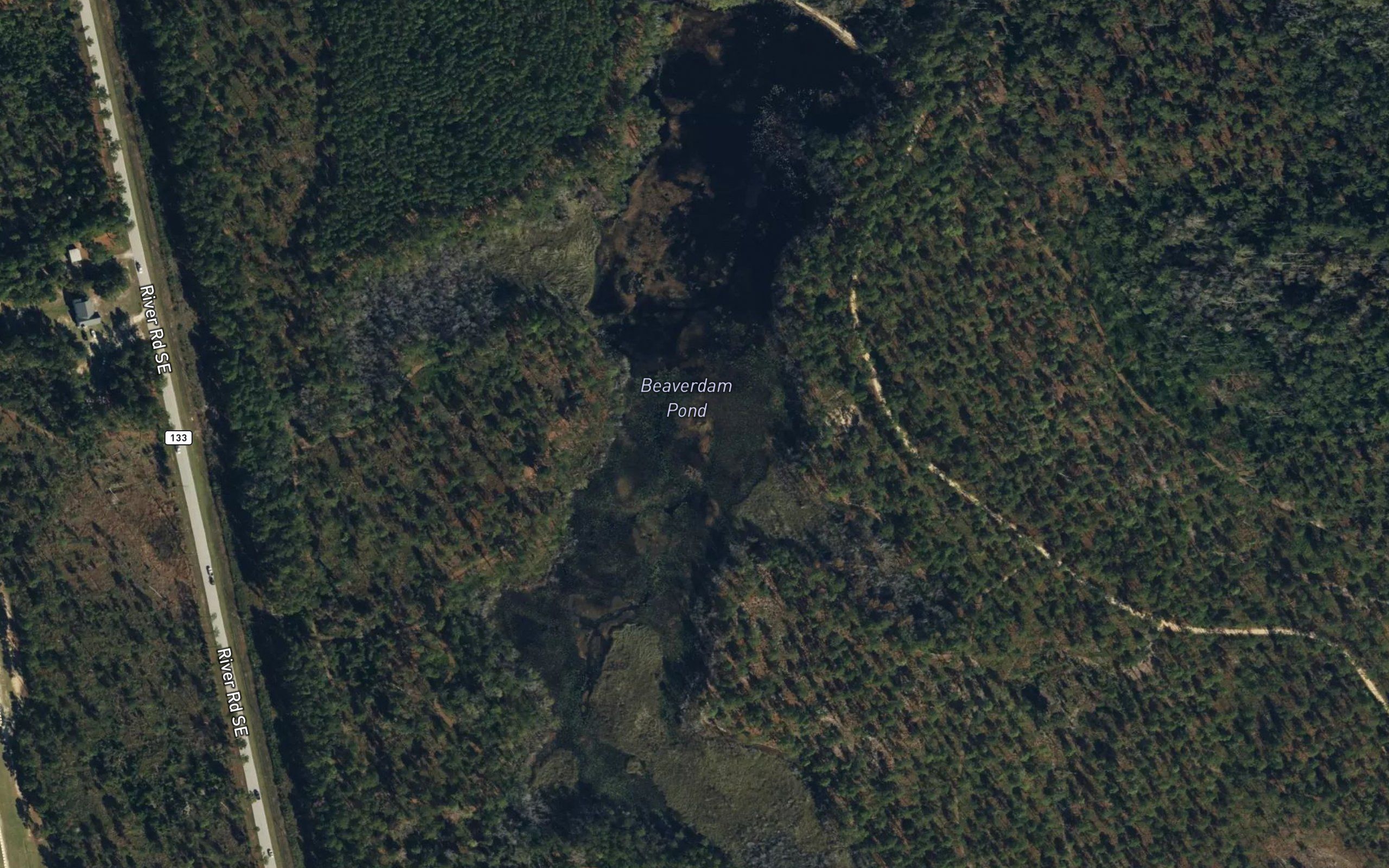 Beaverdam Pond