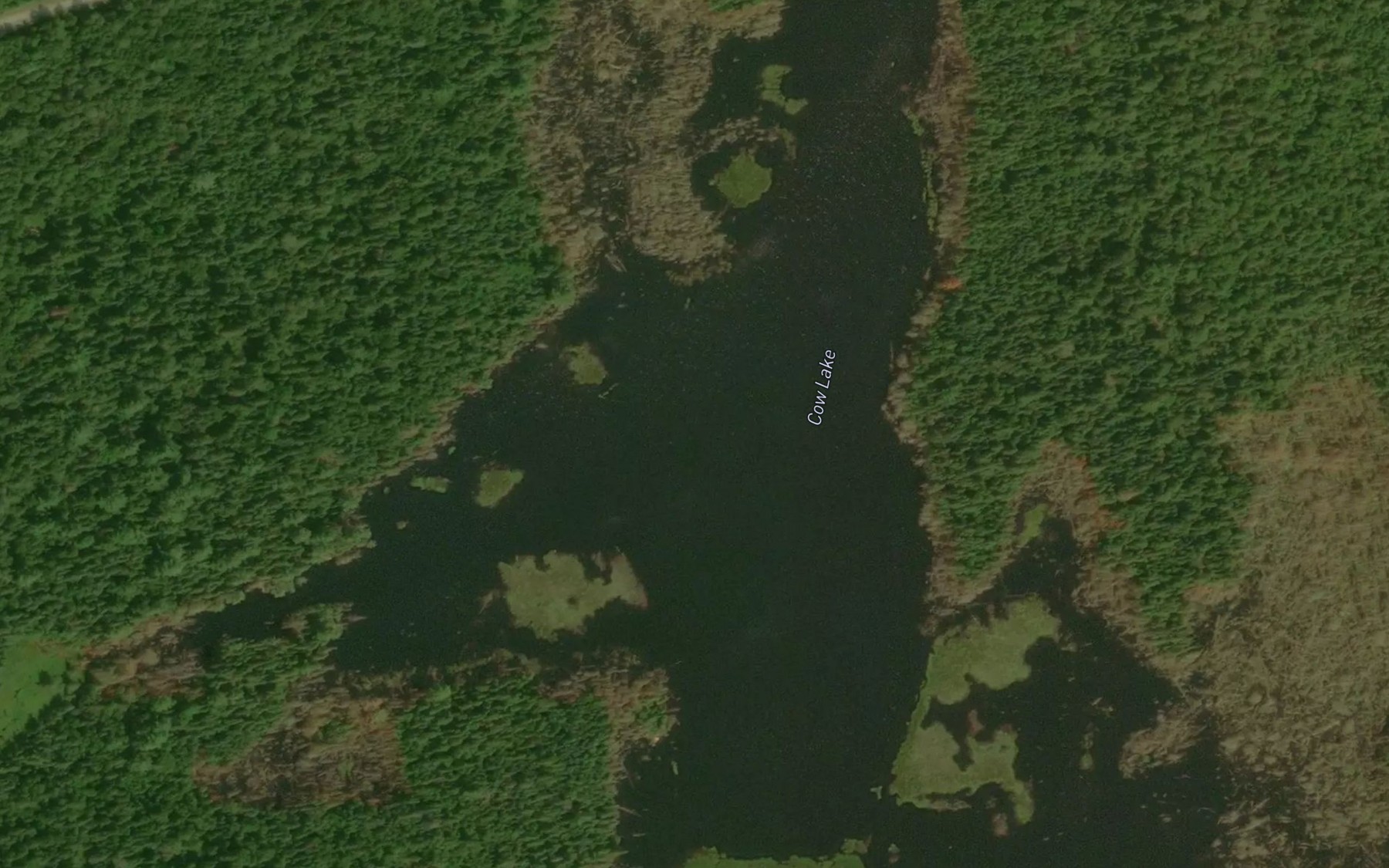 Satellite map of the Cow Lake