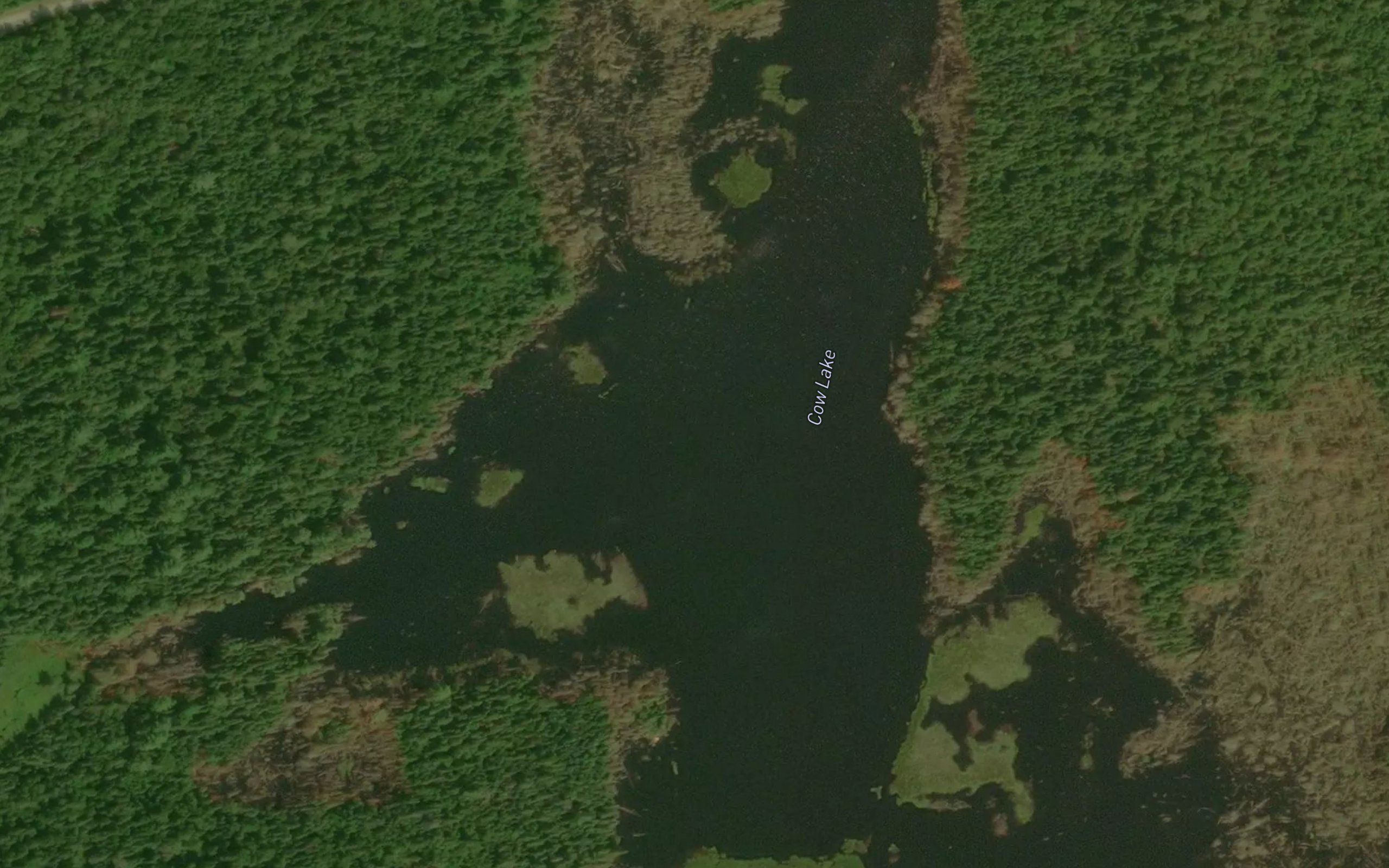 Cow Lake